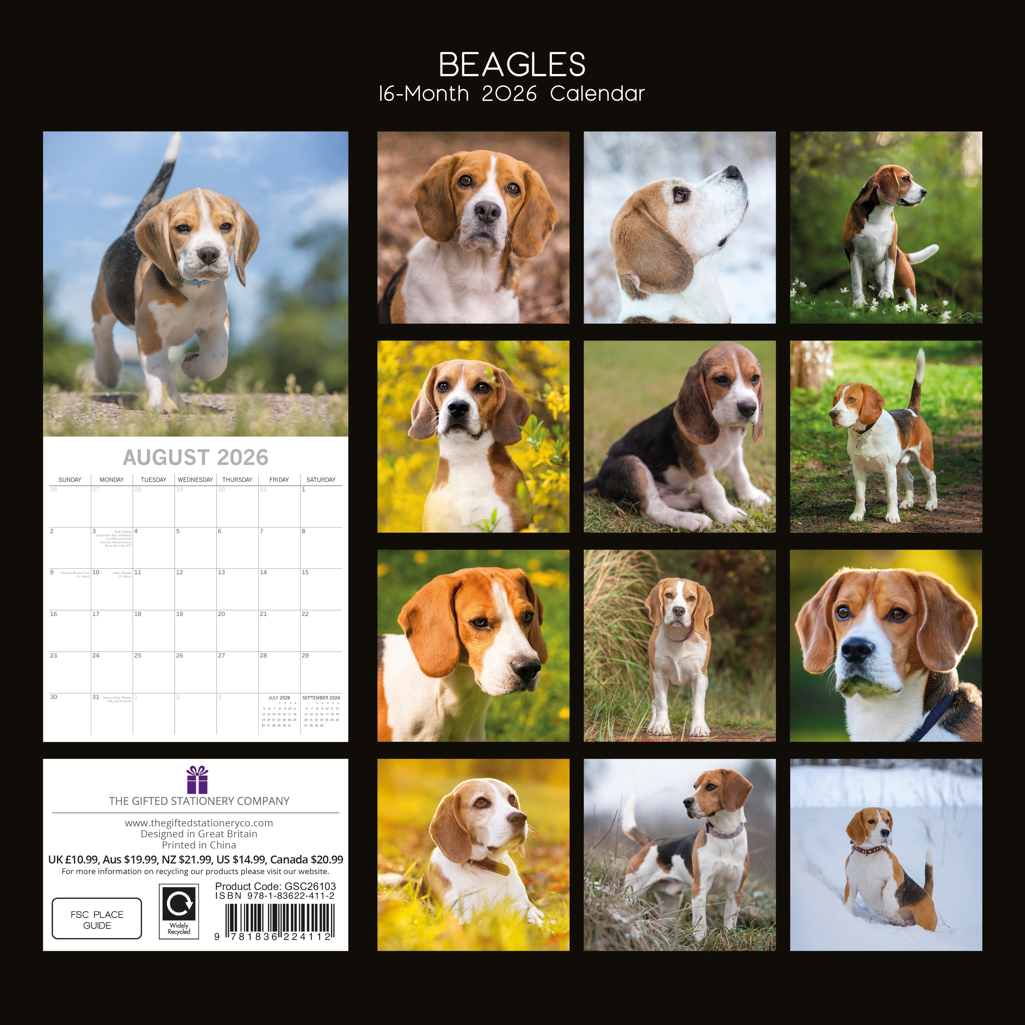 2026 Beagles - Square Wall Calendar