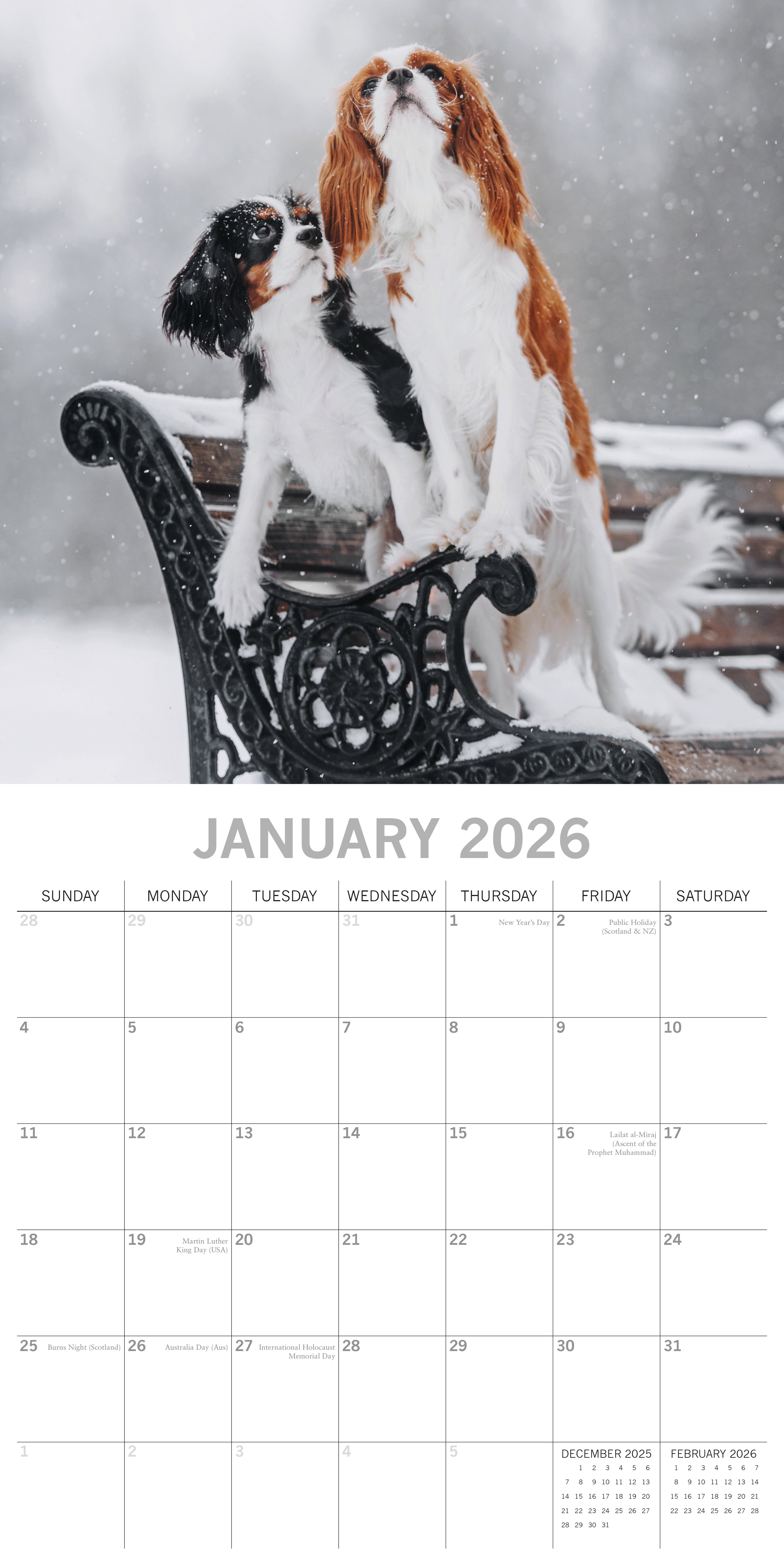 2026 Cavalier King Charles Spaniels - Square Wall Calendar