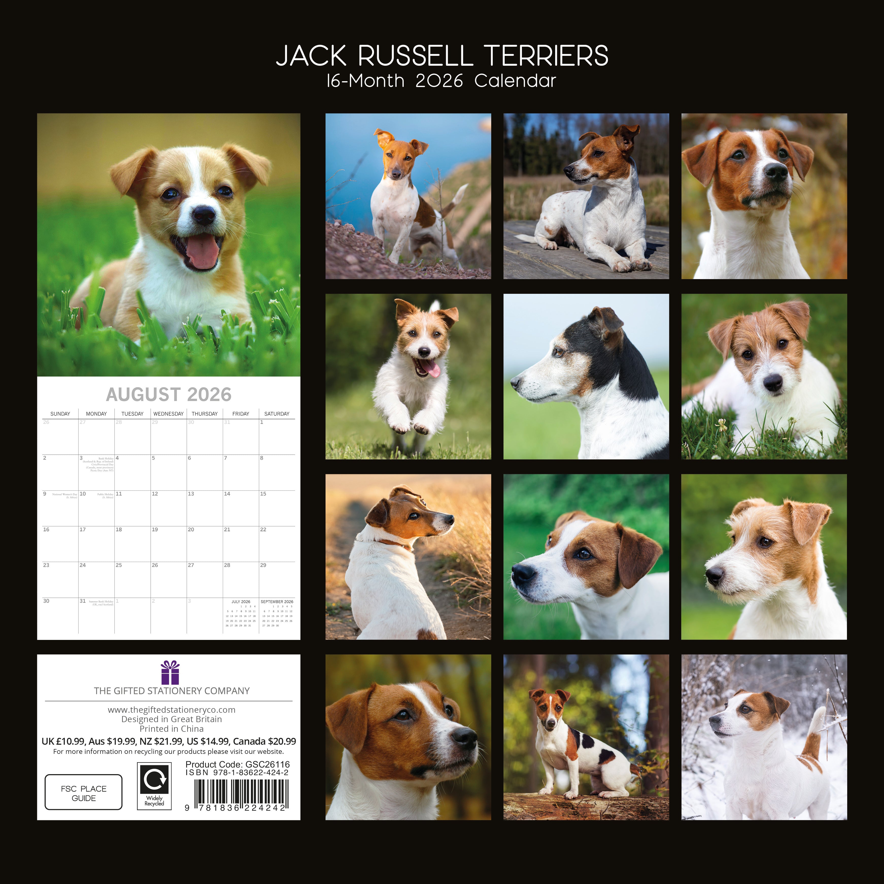 2026 Jack Russells - Square Wall Calendar