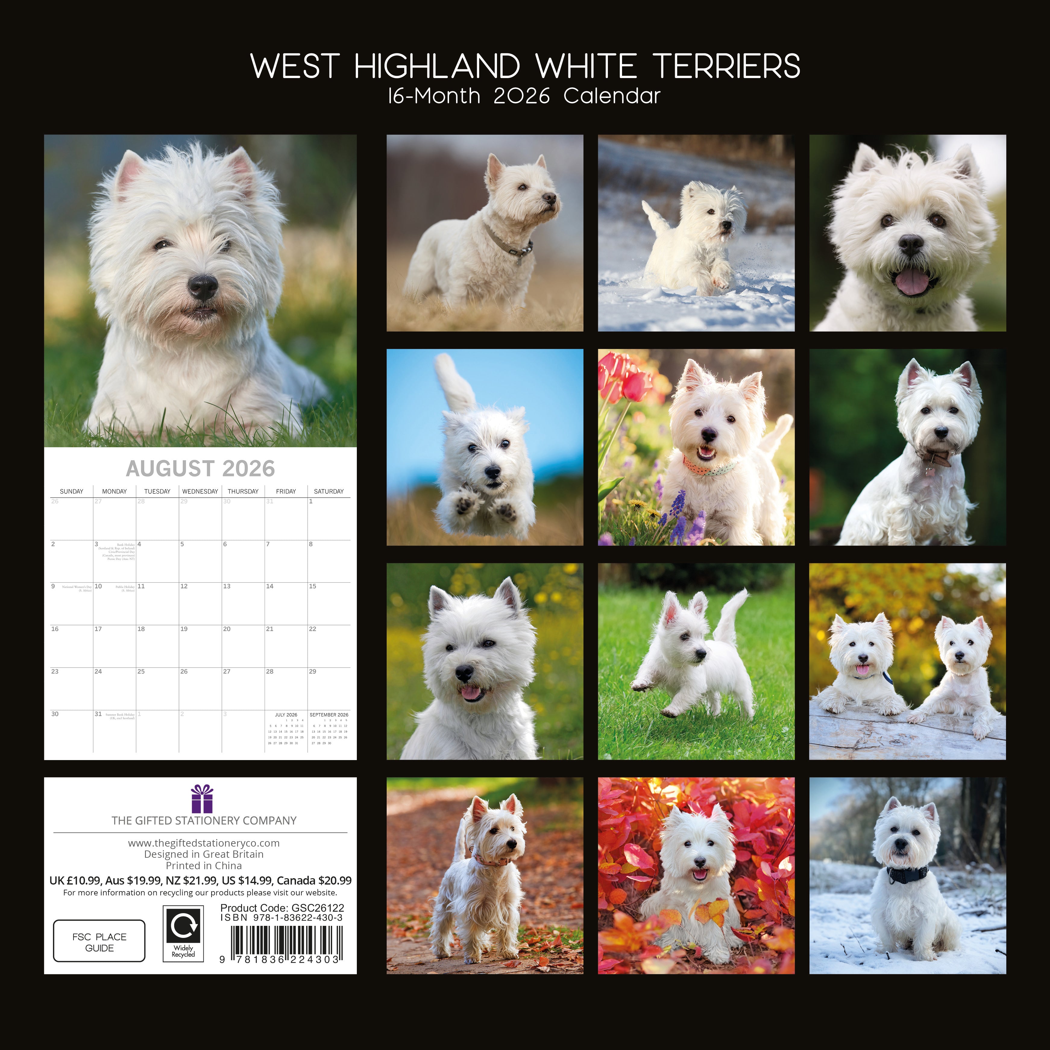 2026 West Highland White Terriers - Square Wall Calendar