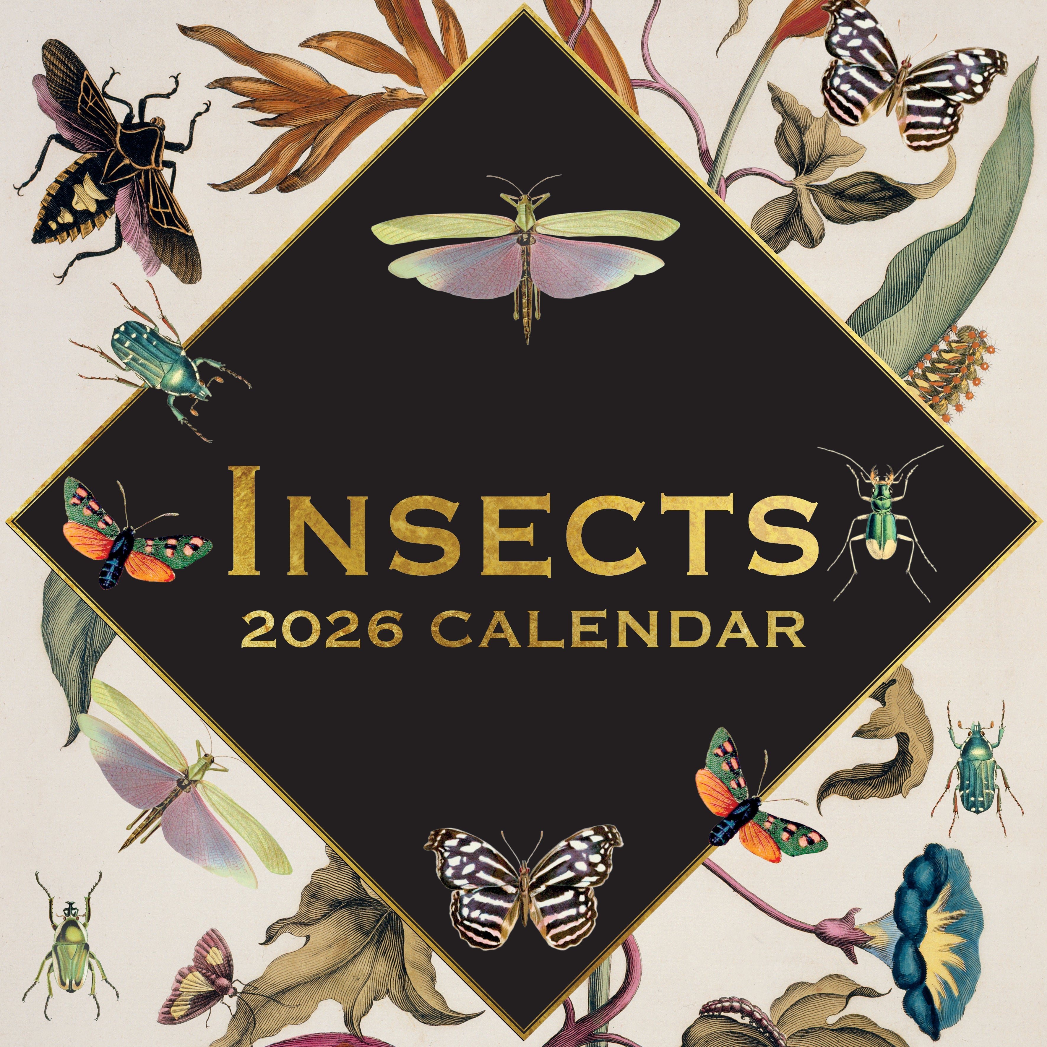 2026 Insects - Square Wall Calendar
