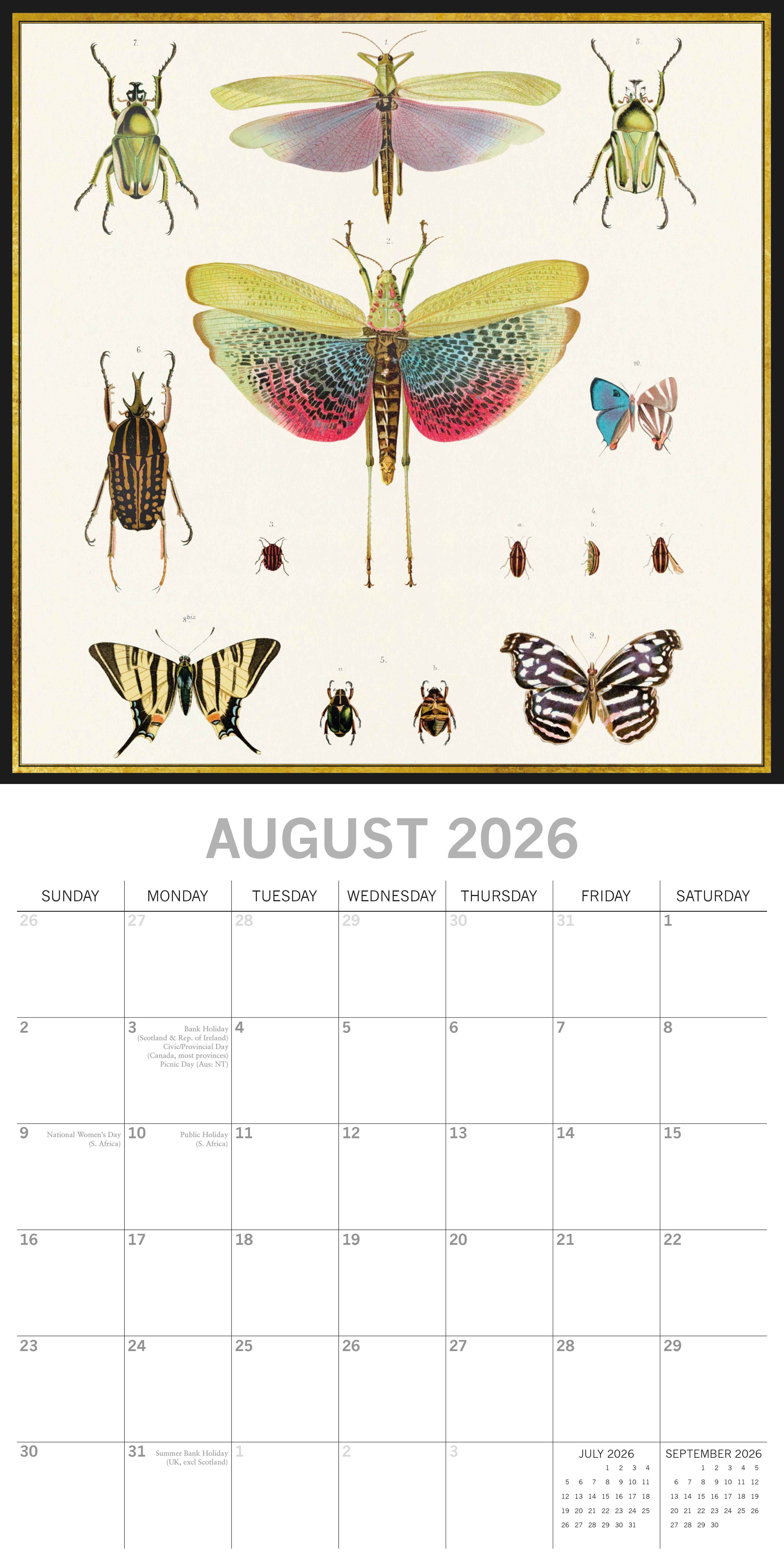 2026 Insects - Square Wall Calendar