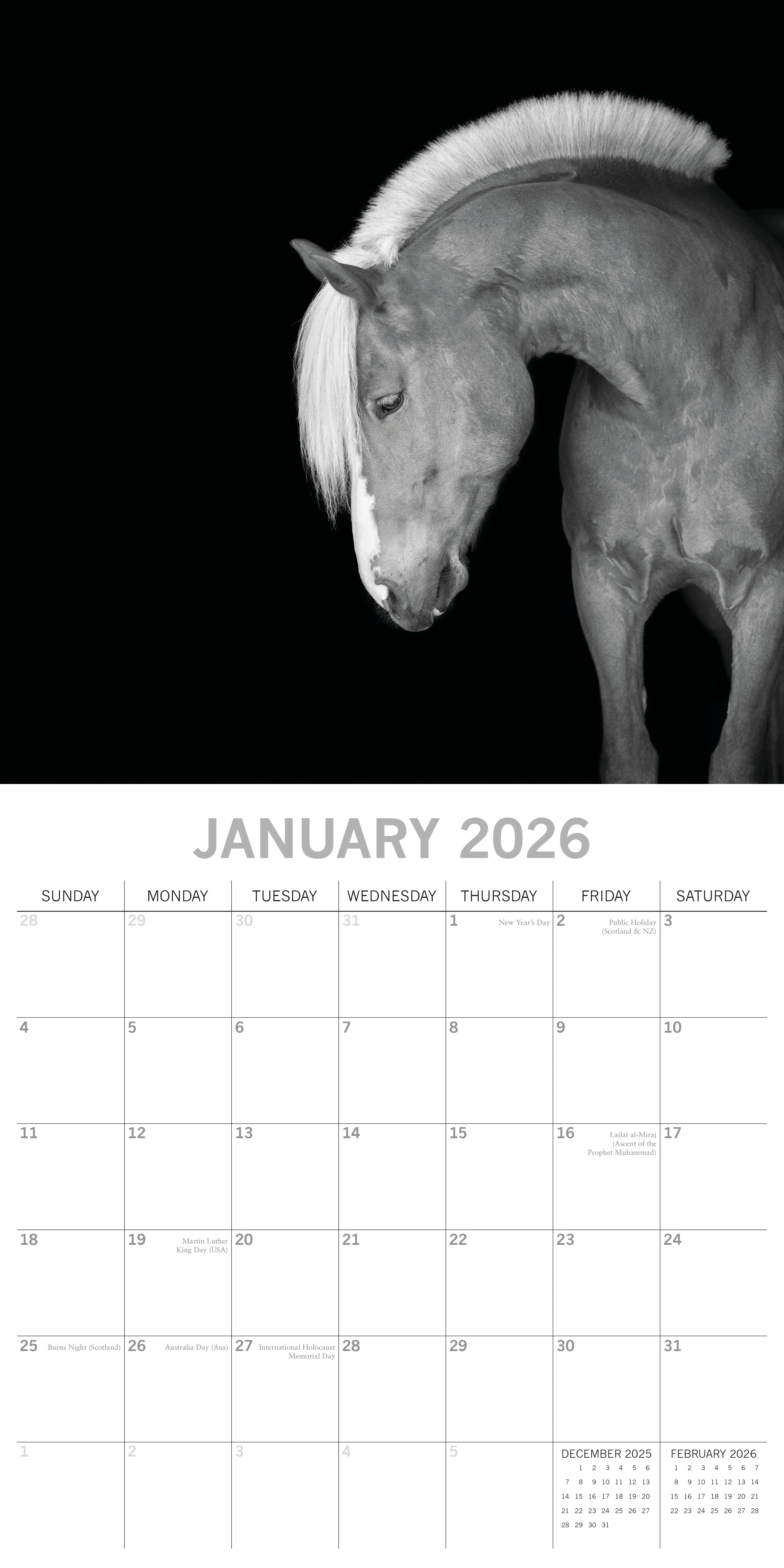 2026 Horse Portraits - Square Wall Calendar