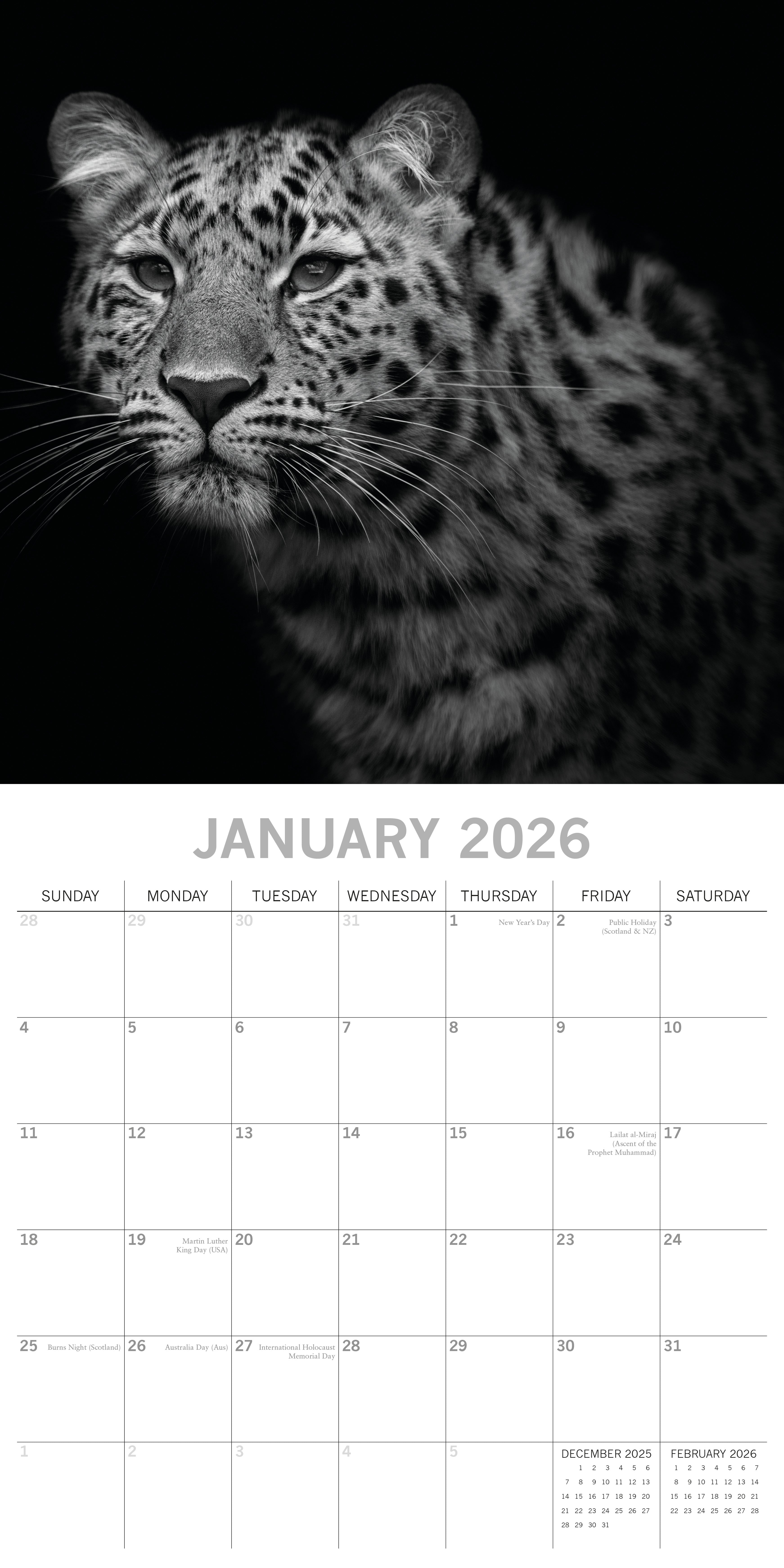 2026 Wild Portraits - Square Wall Calendar