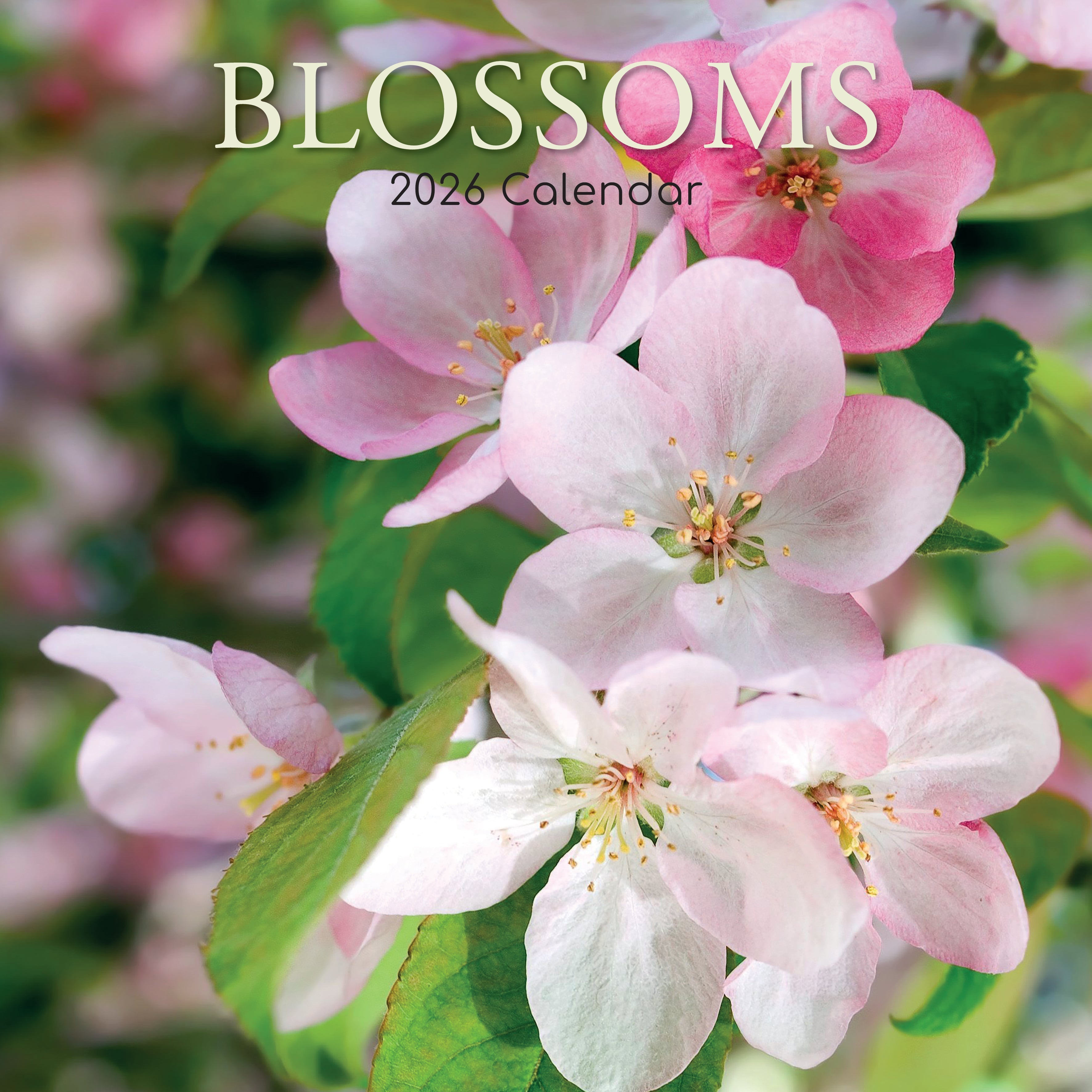 2026 Blossoms - Square Wall Calendar