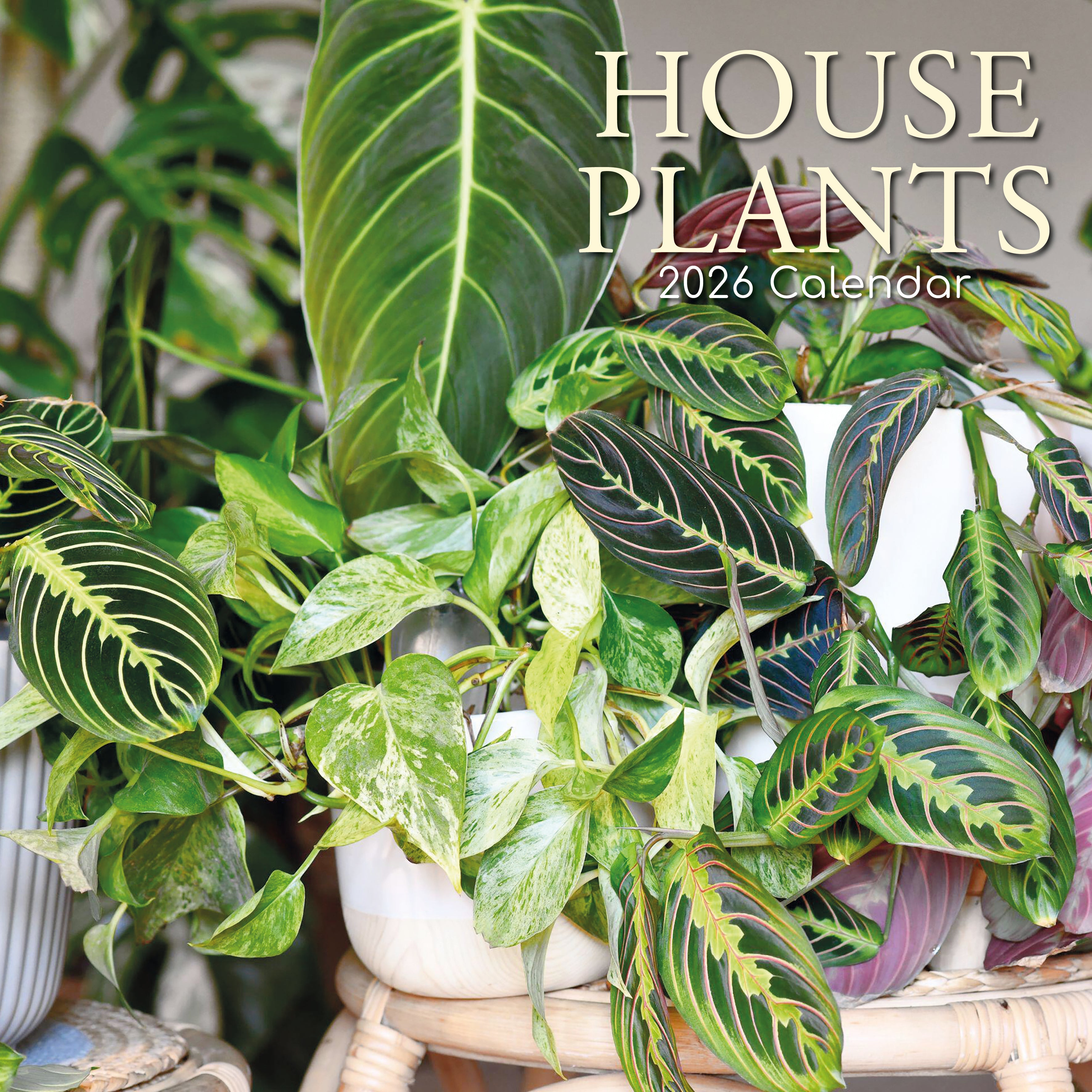 2026 House Plants - Square Wall Calendar