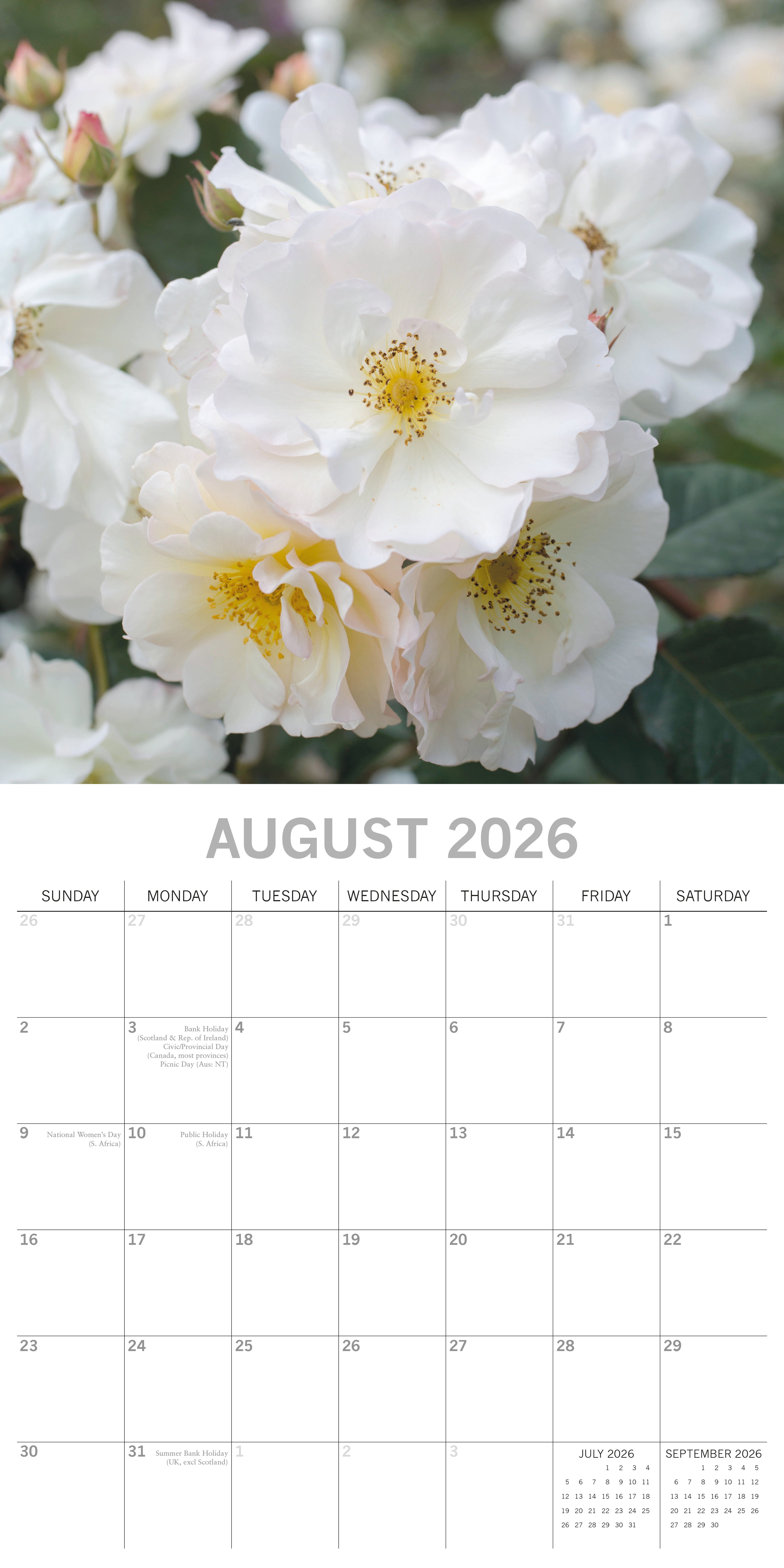 2026 Roses - Square Wall Calendar