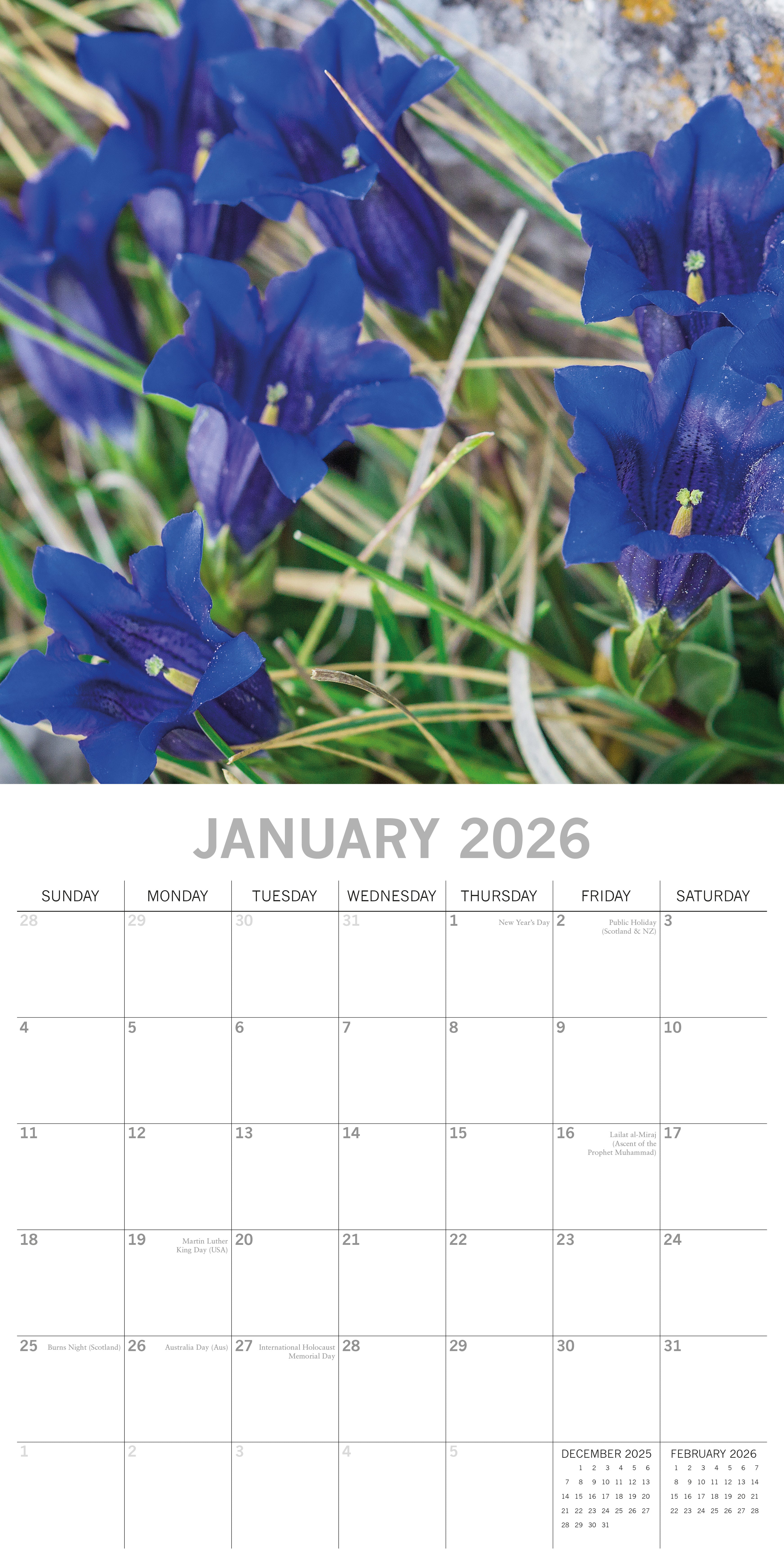 2026 Wild Flowers - Square Wall Calendar