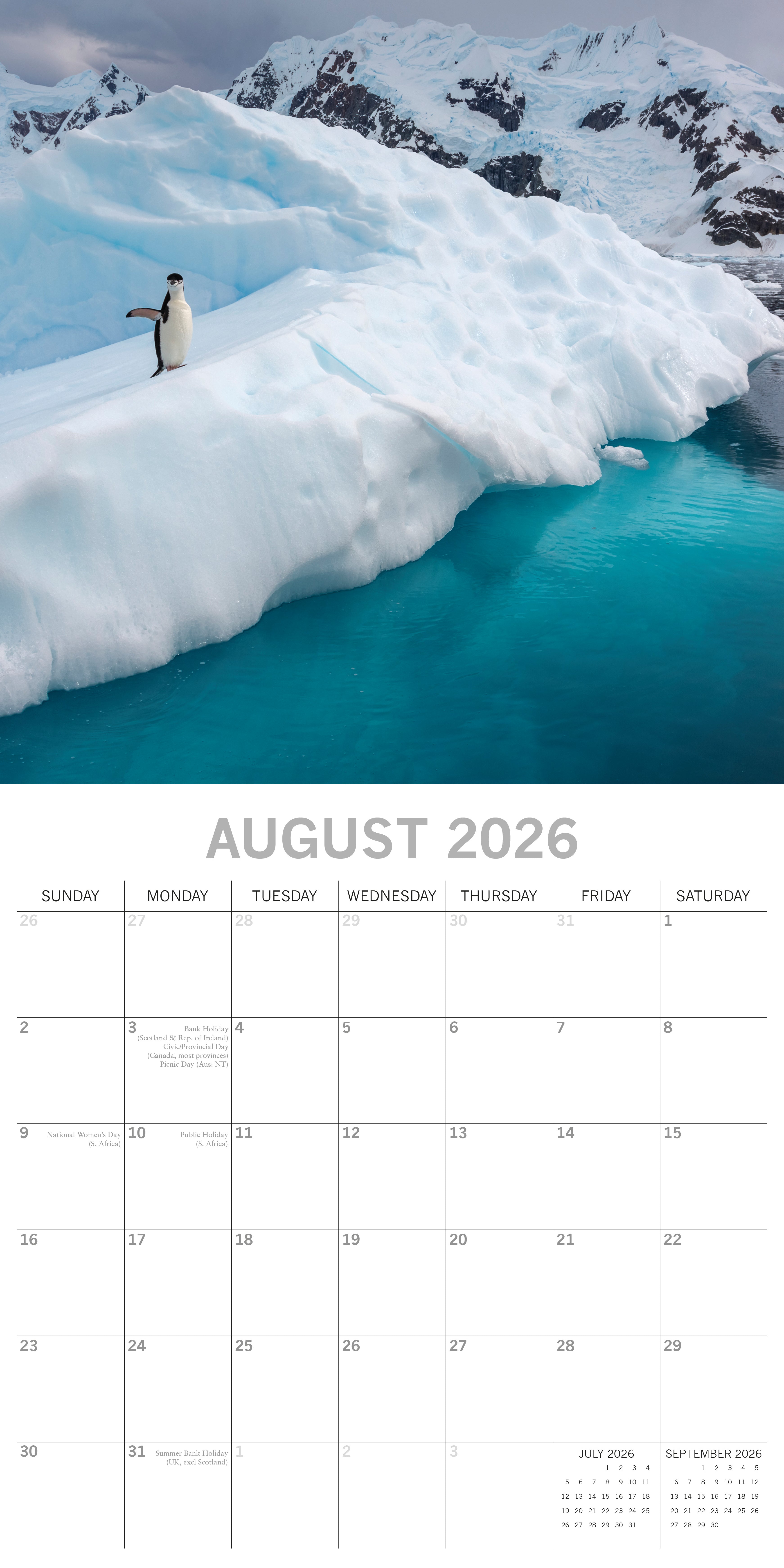 2026 Antarctica - Square Wall Calendar