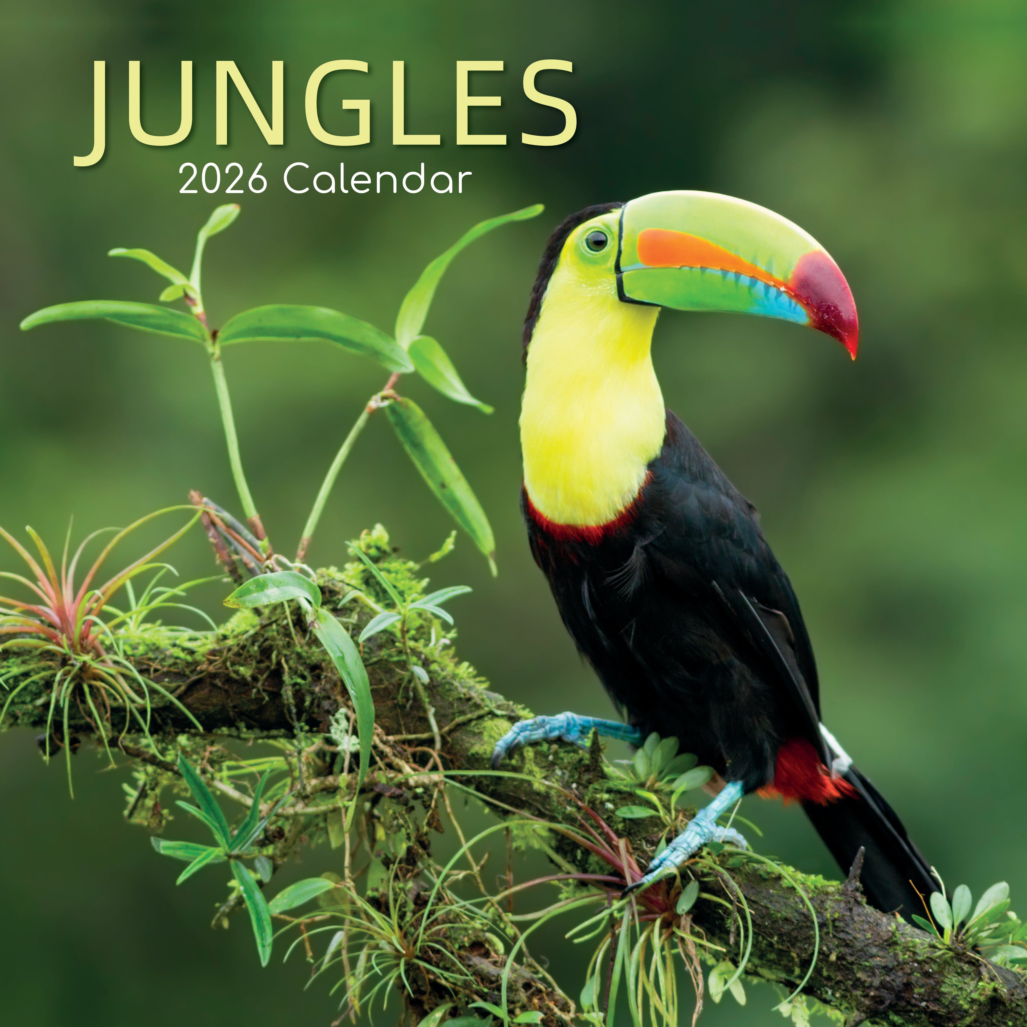2026 Jungles - Square Wall Calendar
