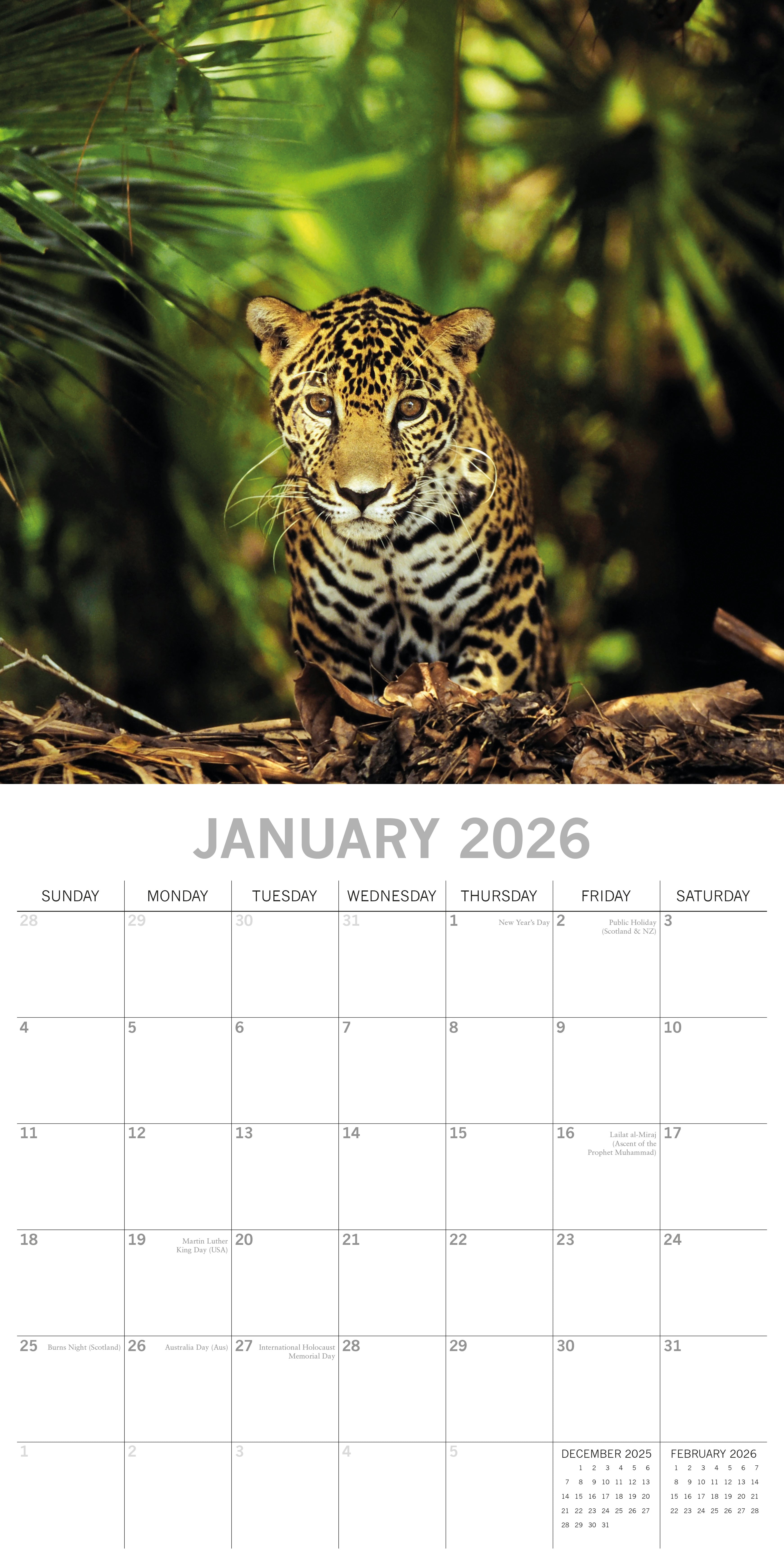 2026 Jungles - Square Wall Calendar