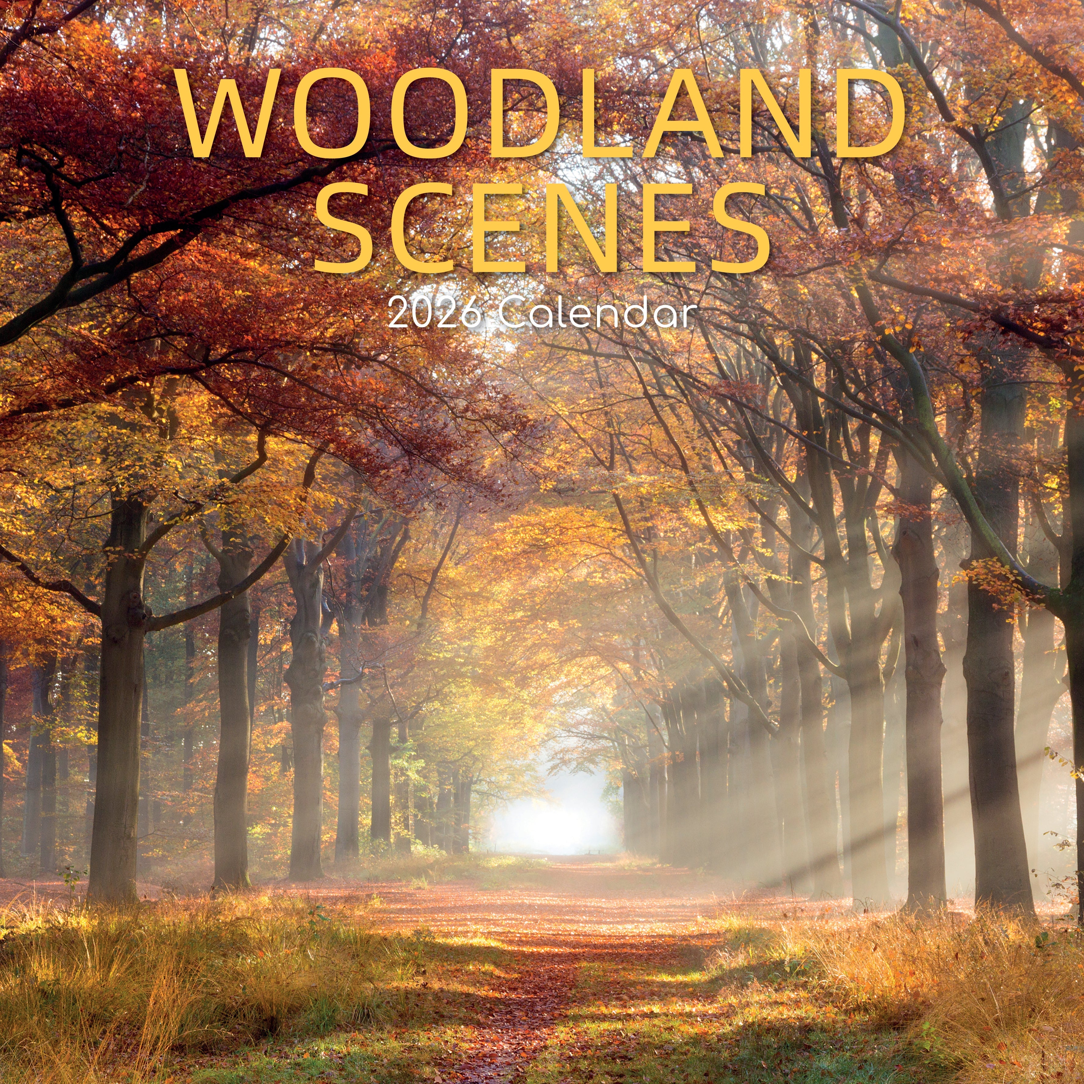 2026 Woodland Scenes - Square Wall Calendar