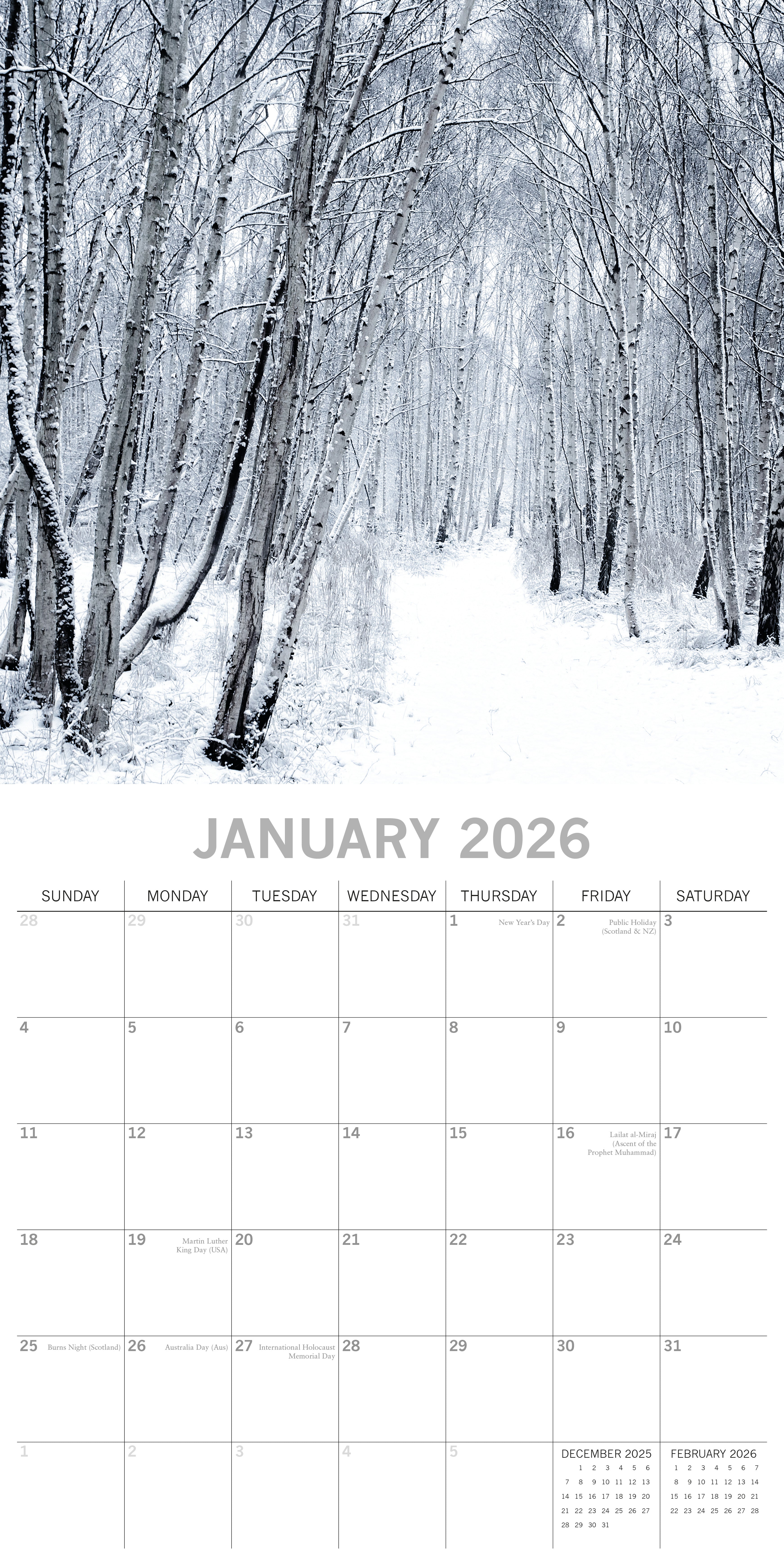 2026 Woodland Scenes - Square Wall Calendar