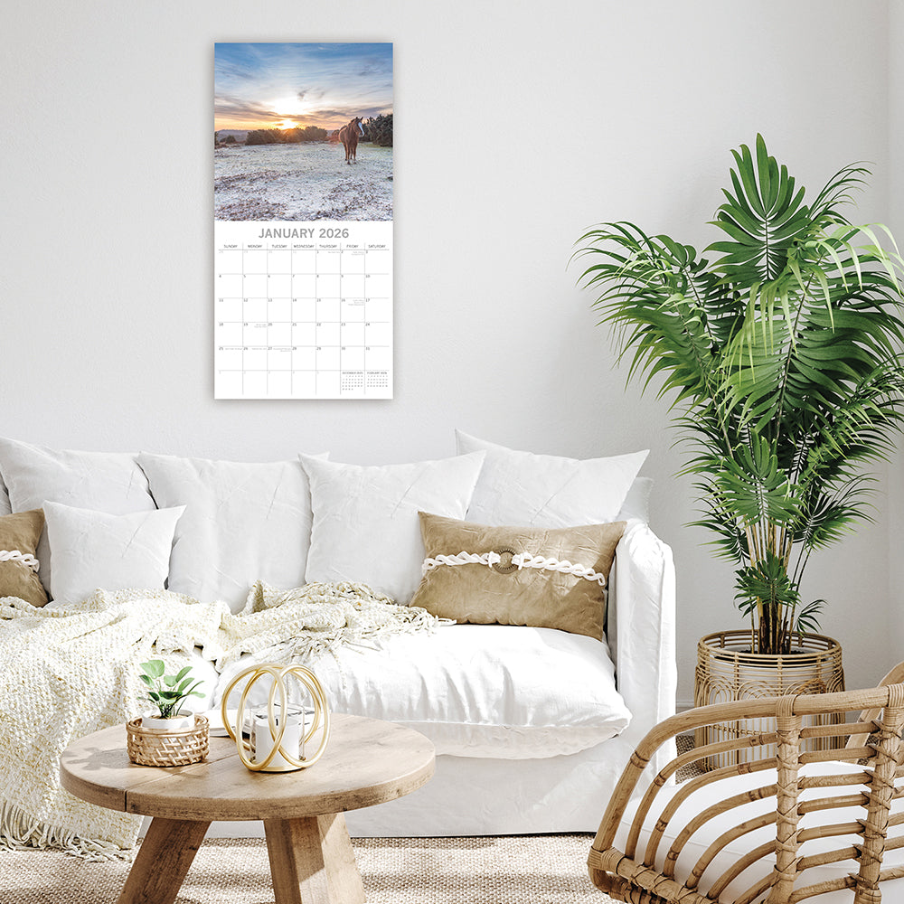 2026 National Parks of Britain - Square Wall Calendar