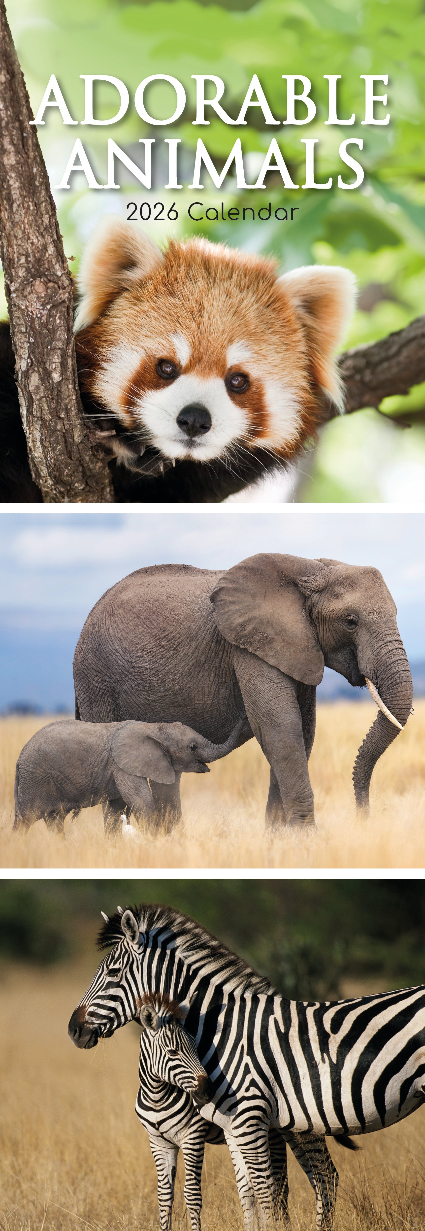 2026 Adorable Animals - Slim Wall Calendar