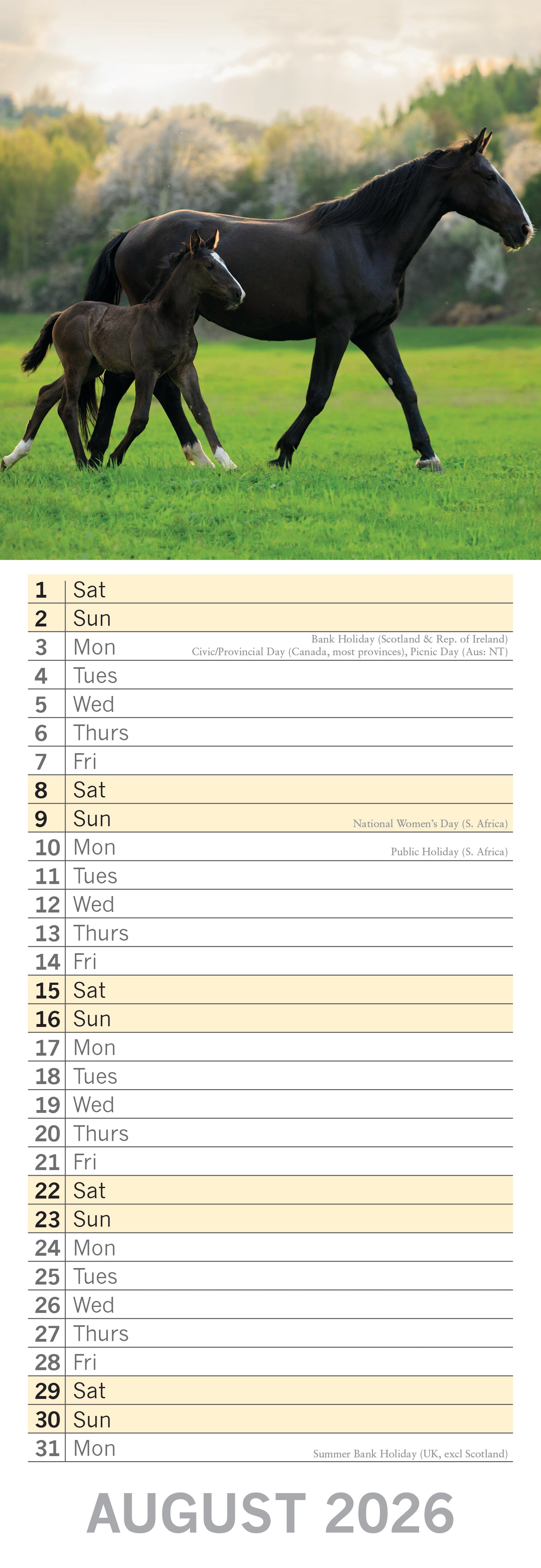 2026 Baby Animals - Slim Wall Calendar