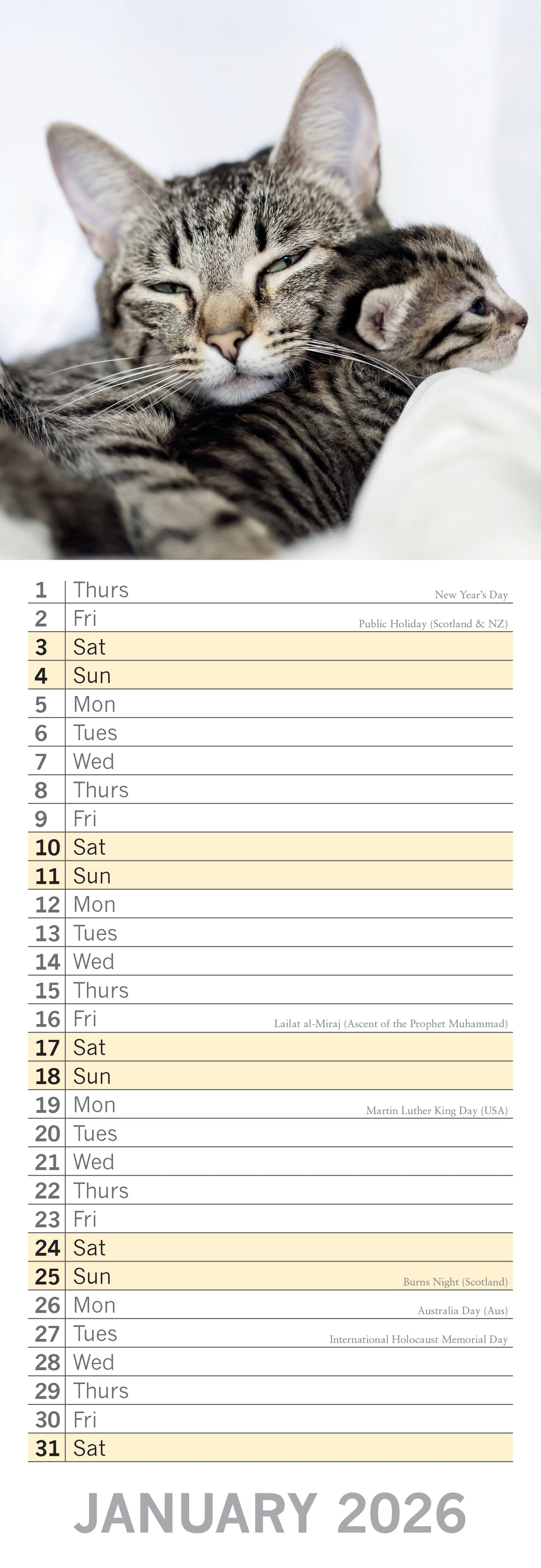 2026 Cats & Kittens - Slim Wall Calendar