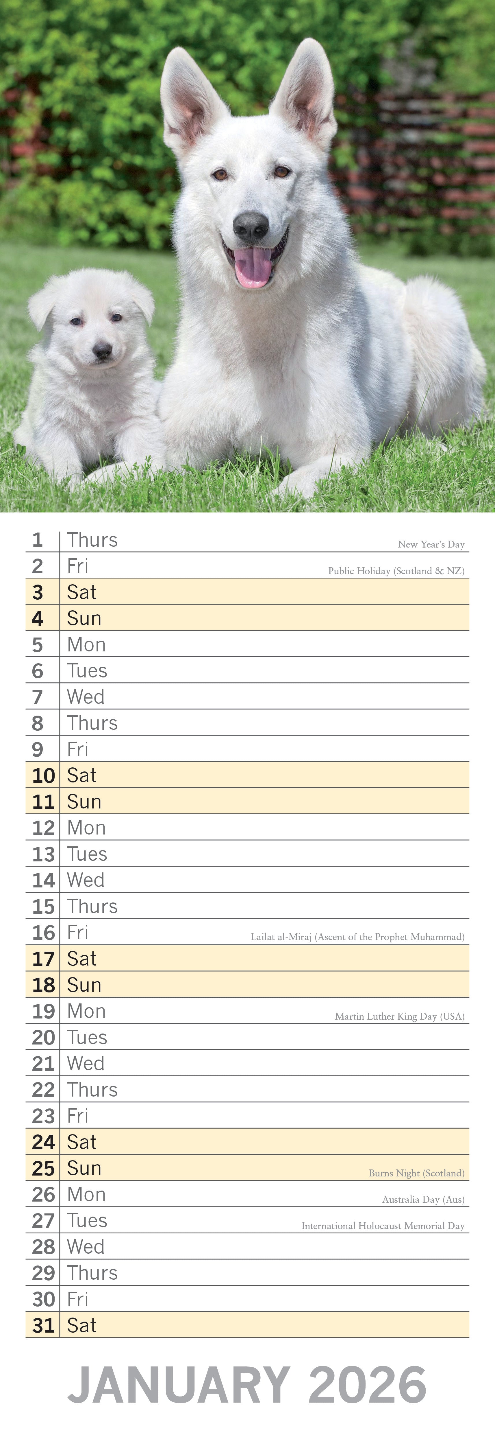 2026 Dogs & Puppies - Slim Wall Calendar