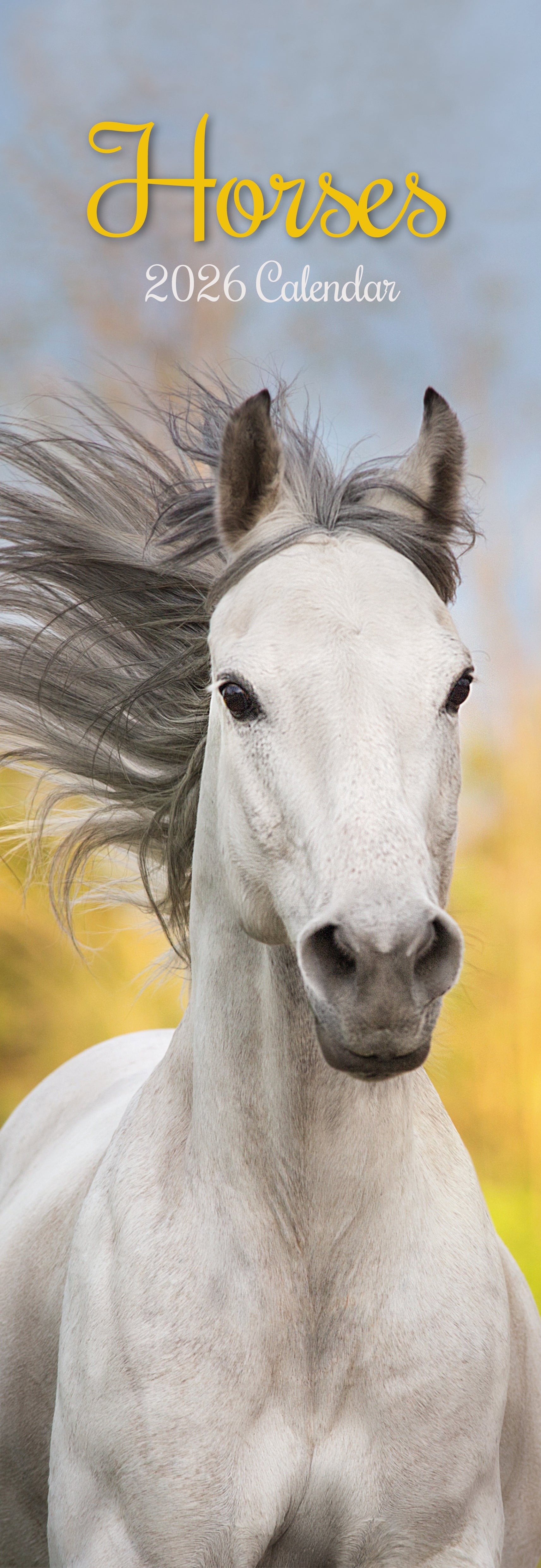 2026 Horses - Slim Wall Calendar