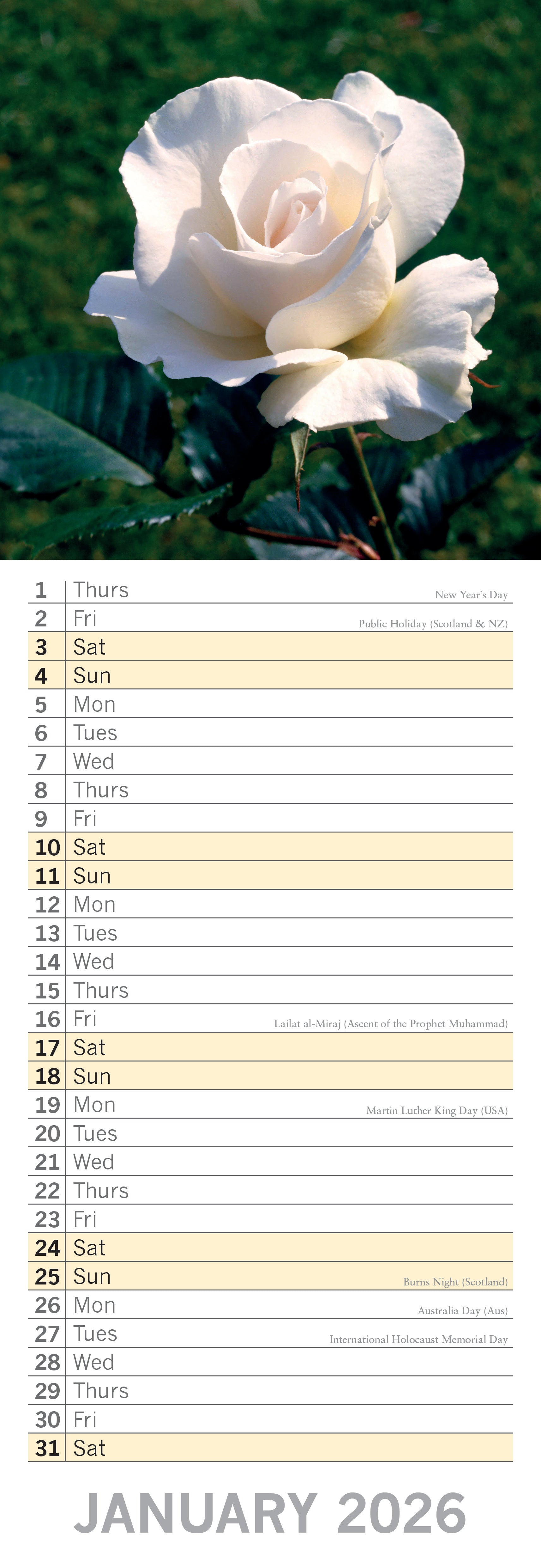 2026 Roses - Slim Wall Calendar