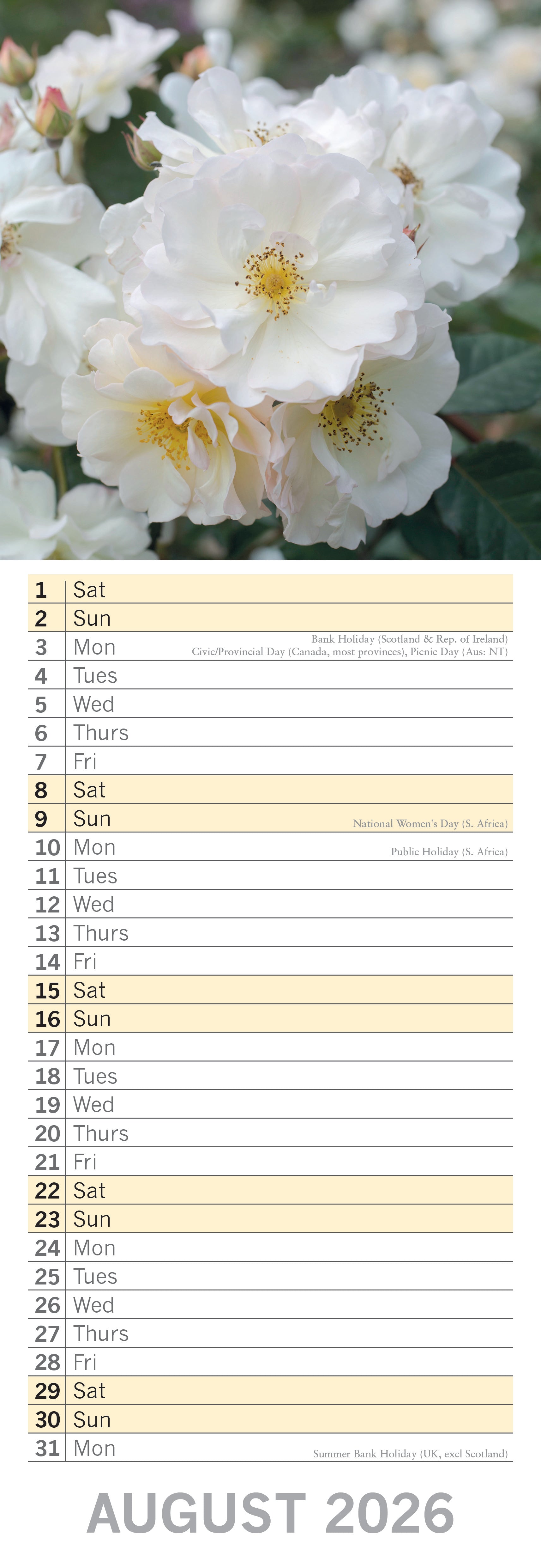 2026 Roses - Slim Wall Calendar