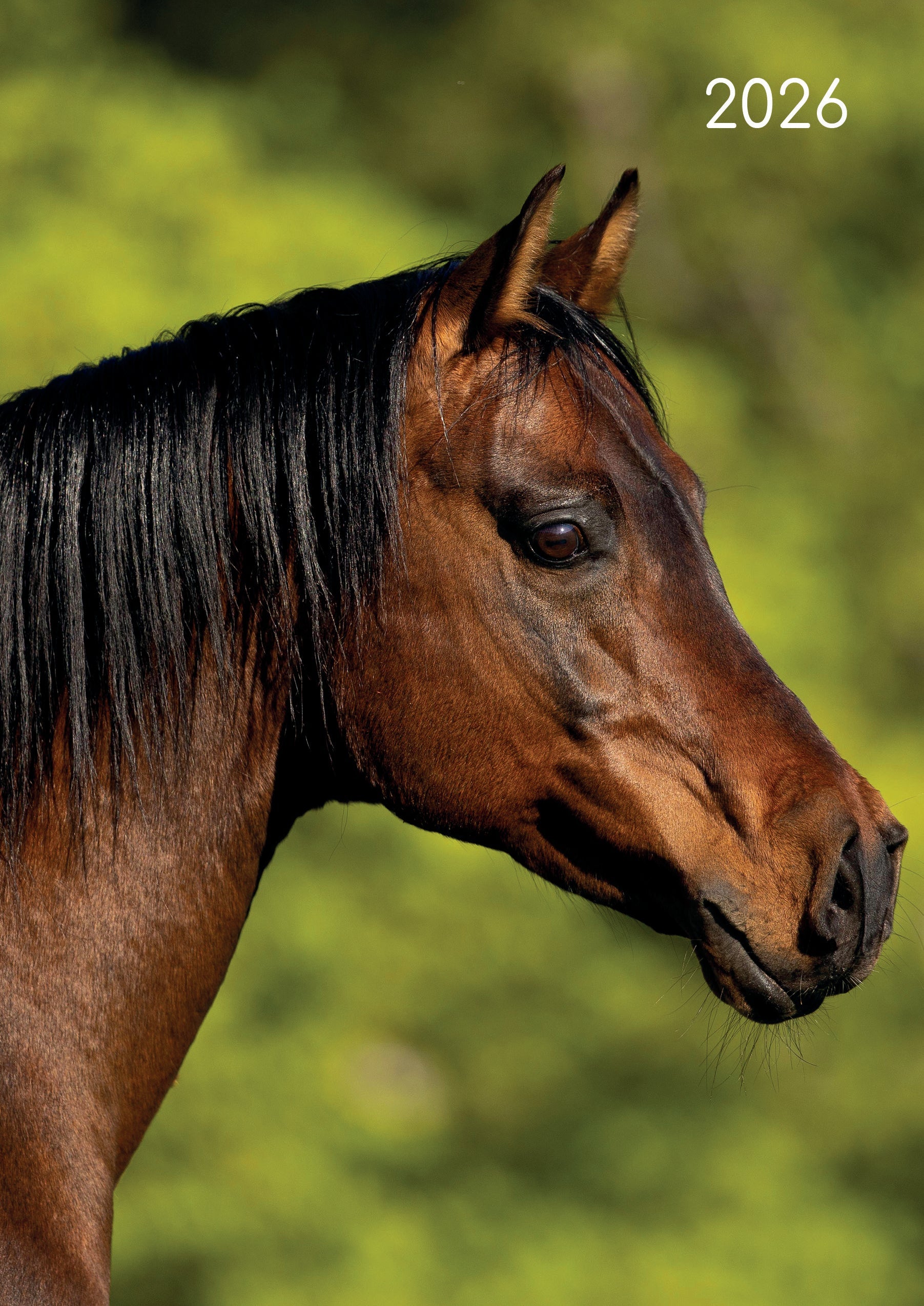 2026 Horses - Weekly Diary/Planner