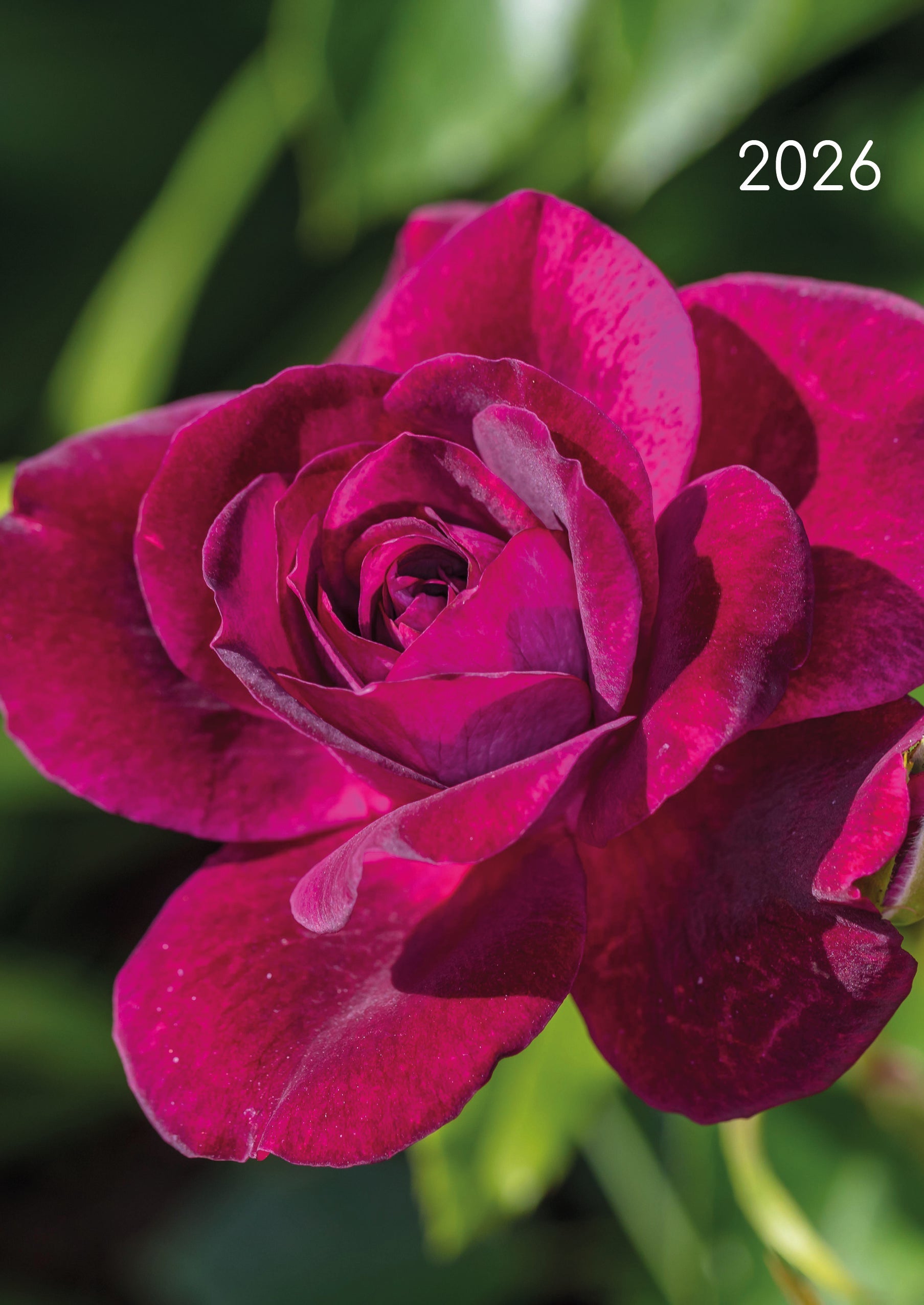 2026 Roses - Weekly Diary/Planner