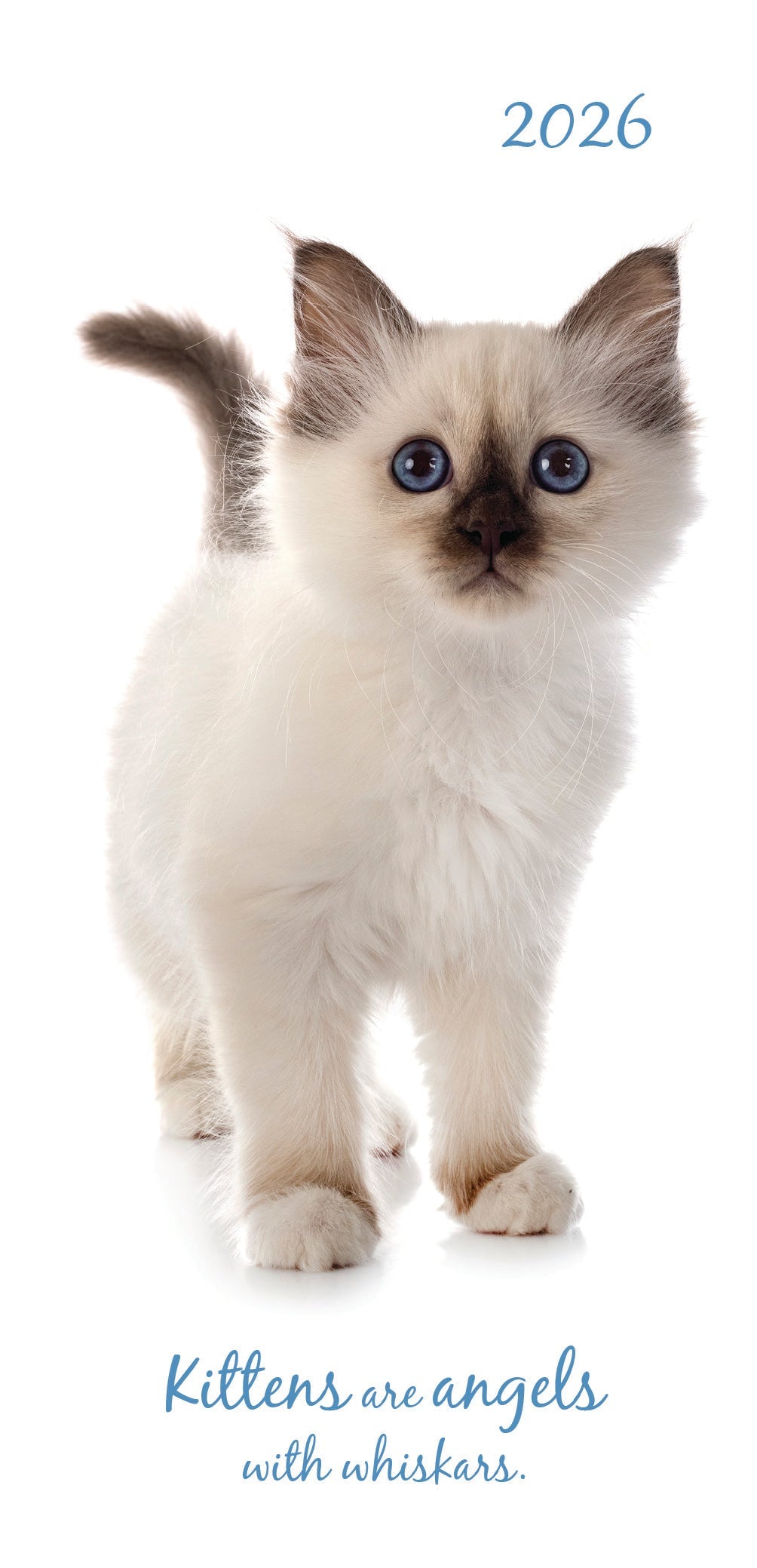 2026 Cute Kittens - Weekly Pocket Diary/Planner