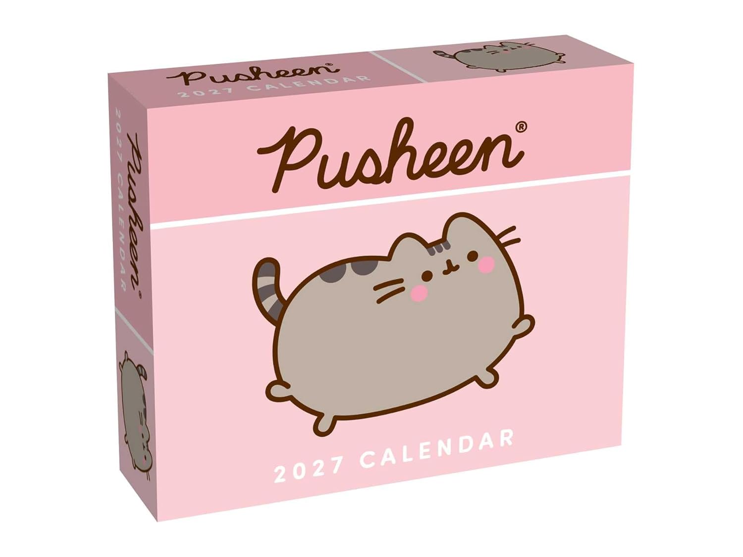 2027 Pusheen - Daily Boxed Page-A-Day Calendar