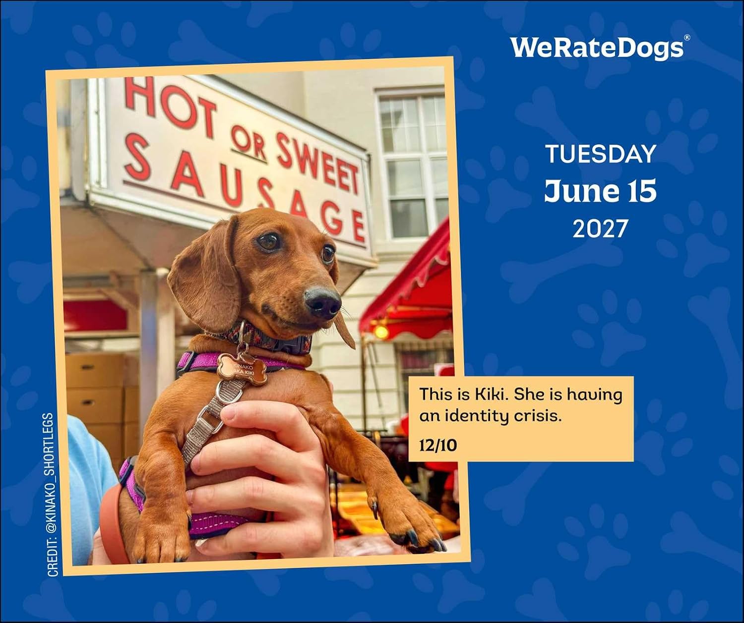 2027 WeRate Dogs - Daily Boxed Page-A-Day Calendar