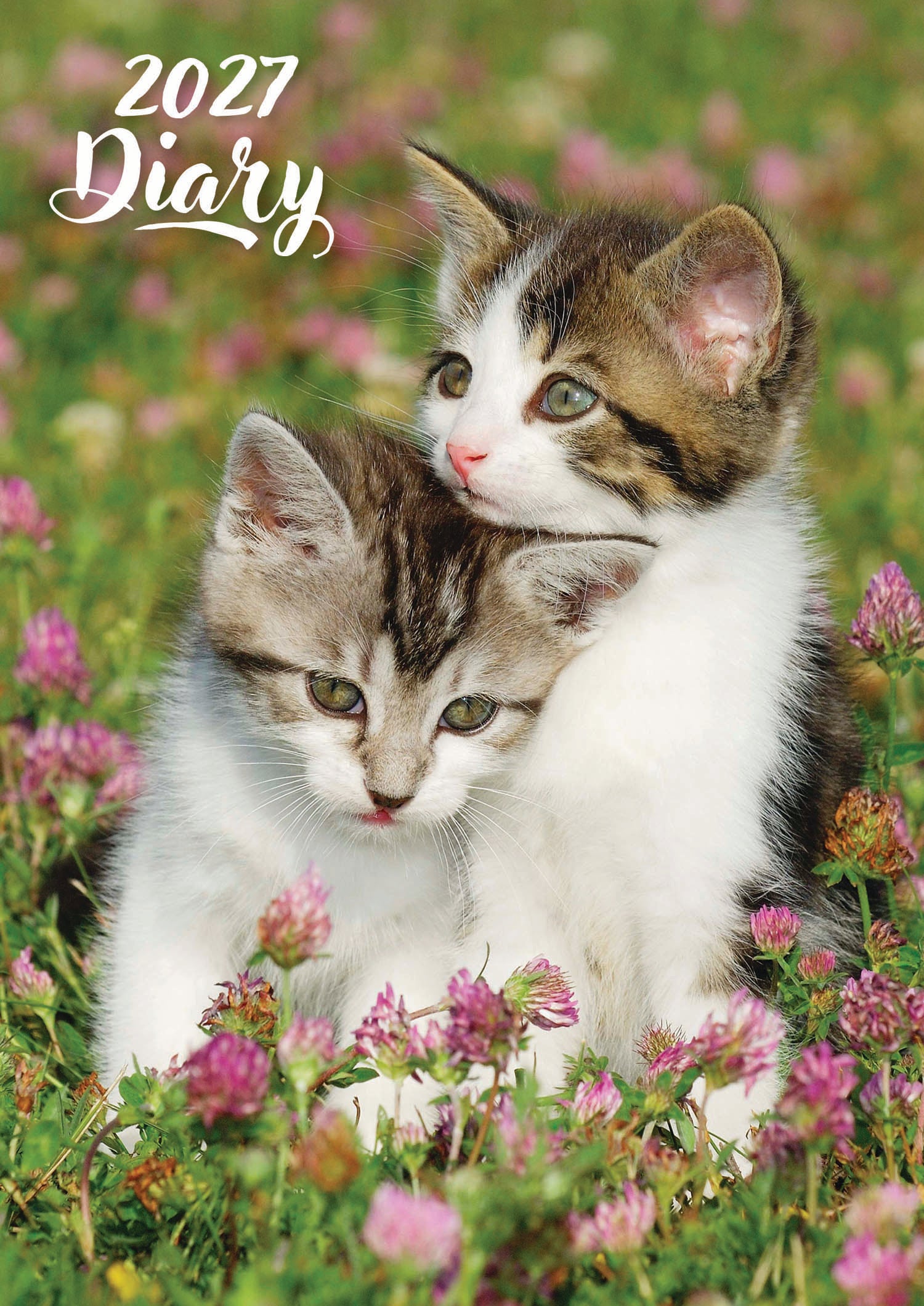 A5_Diary_Week_to_View_Animals_Cute_Kittens_2027.jpg