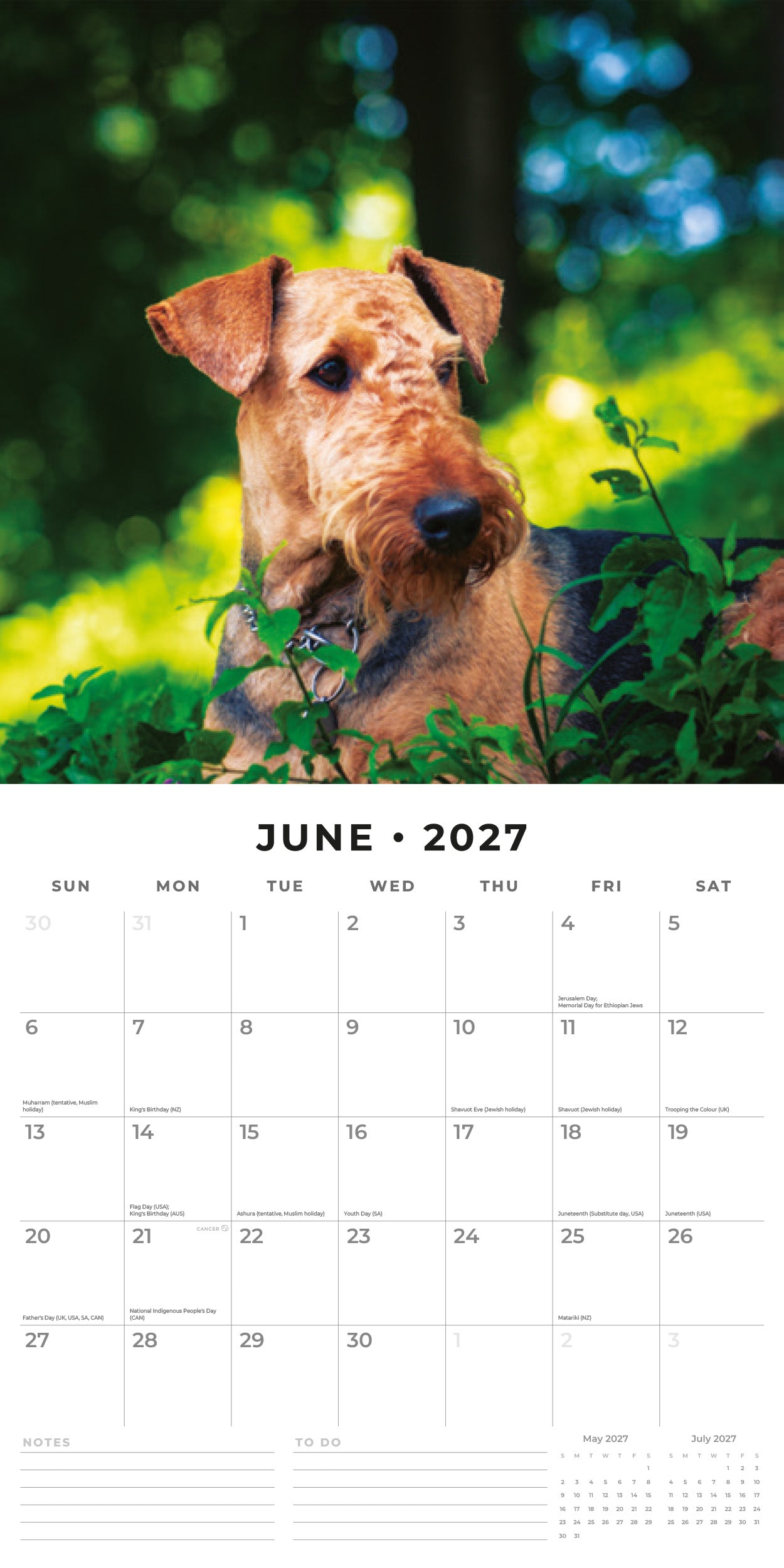 2027 Airedale Terriers - Square Wall Calendar