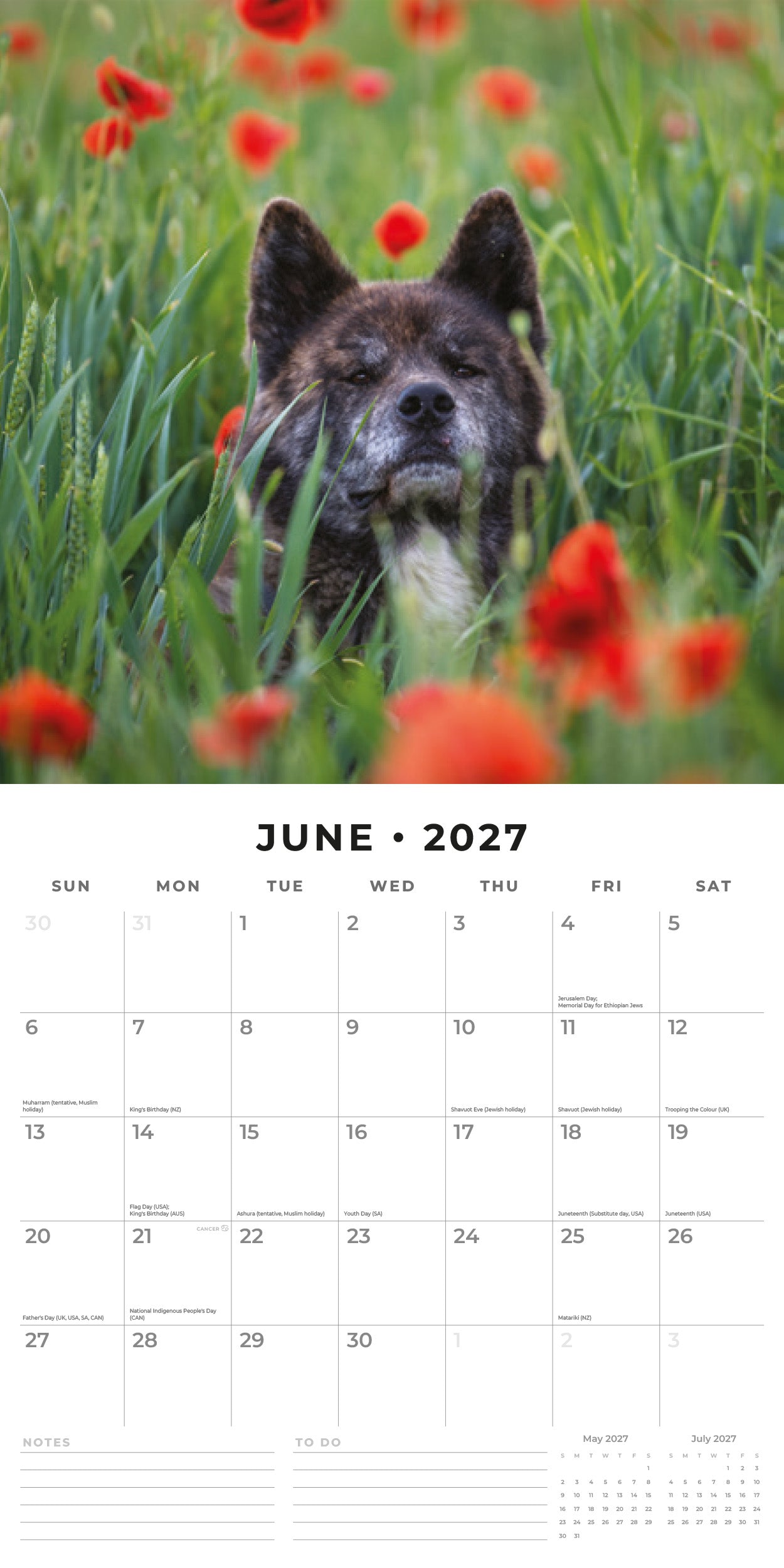 2027 Akitas - Square Wall Calendar