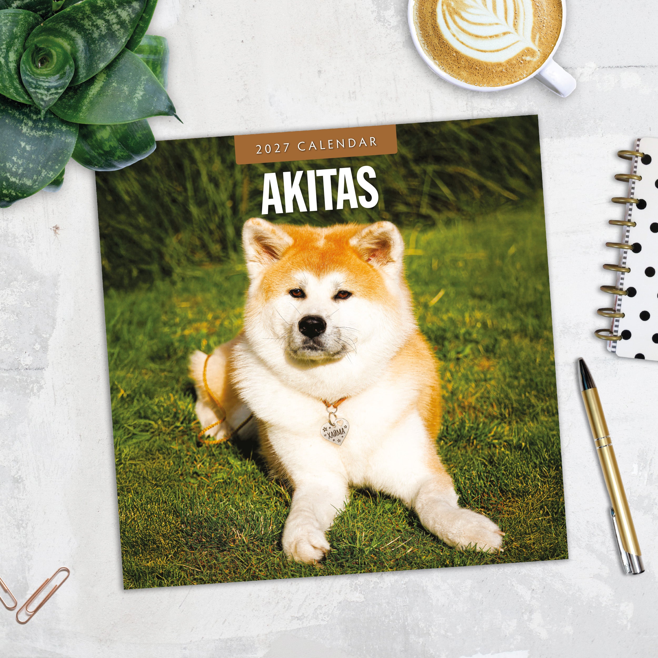 2027 Akitas - Square Wall Calendar