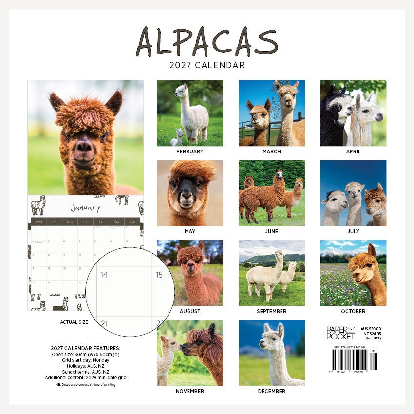 2027 Alpacas - Square Wall Calendar
