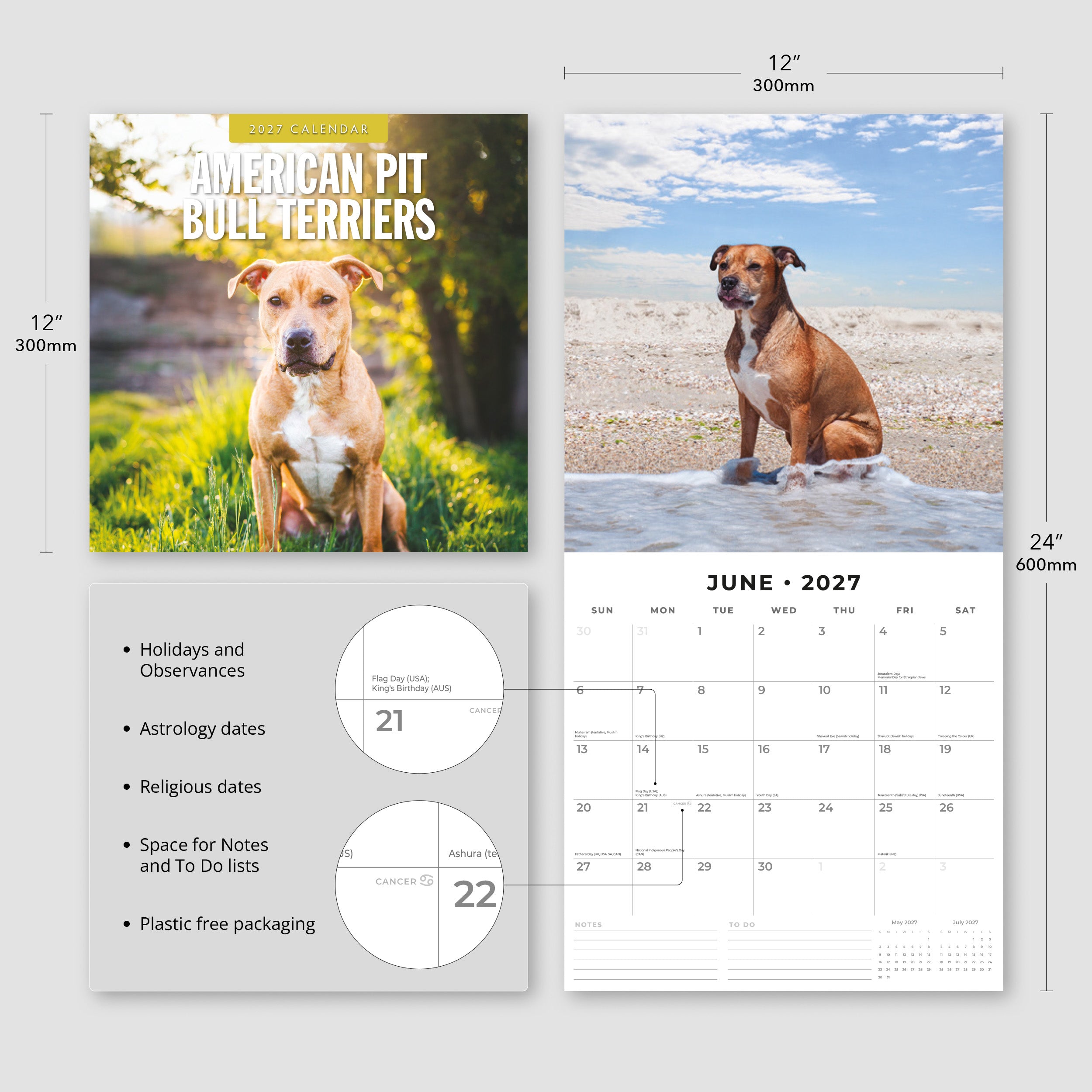 2027 American Pit Bull Terriers - Square Wall Calendar