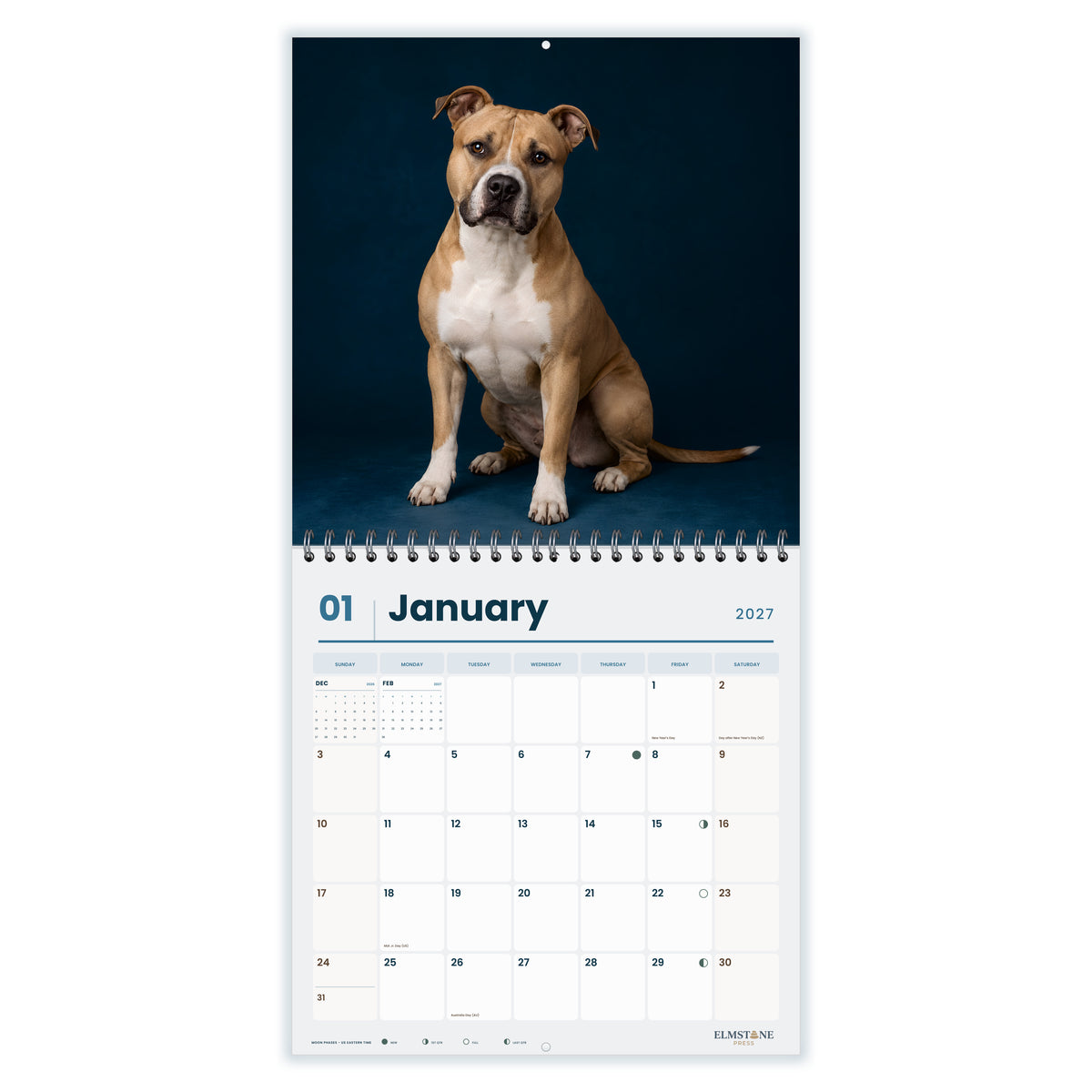 American_Staffordshire_Terriers_-_649310202829_-_02-january-open-white.jpg