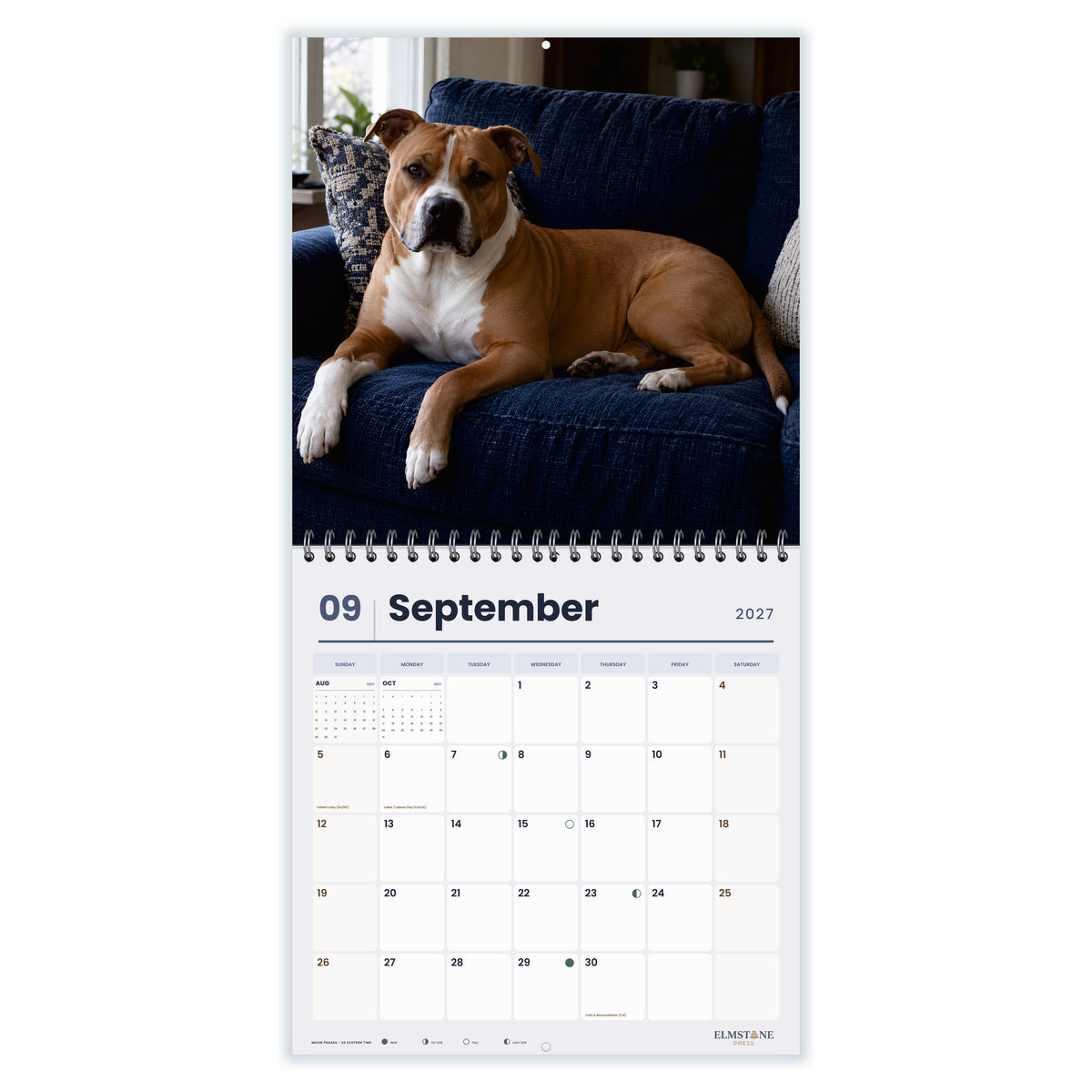 American_Staffordshire_Terriers_-_649310202829_-_04-september-open-white.jpg