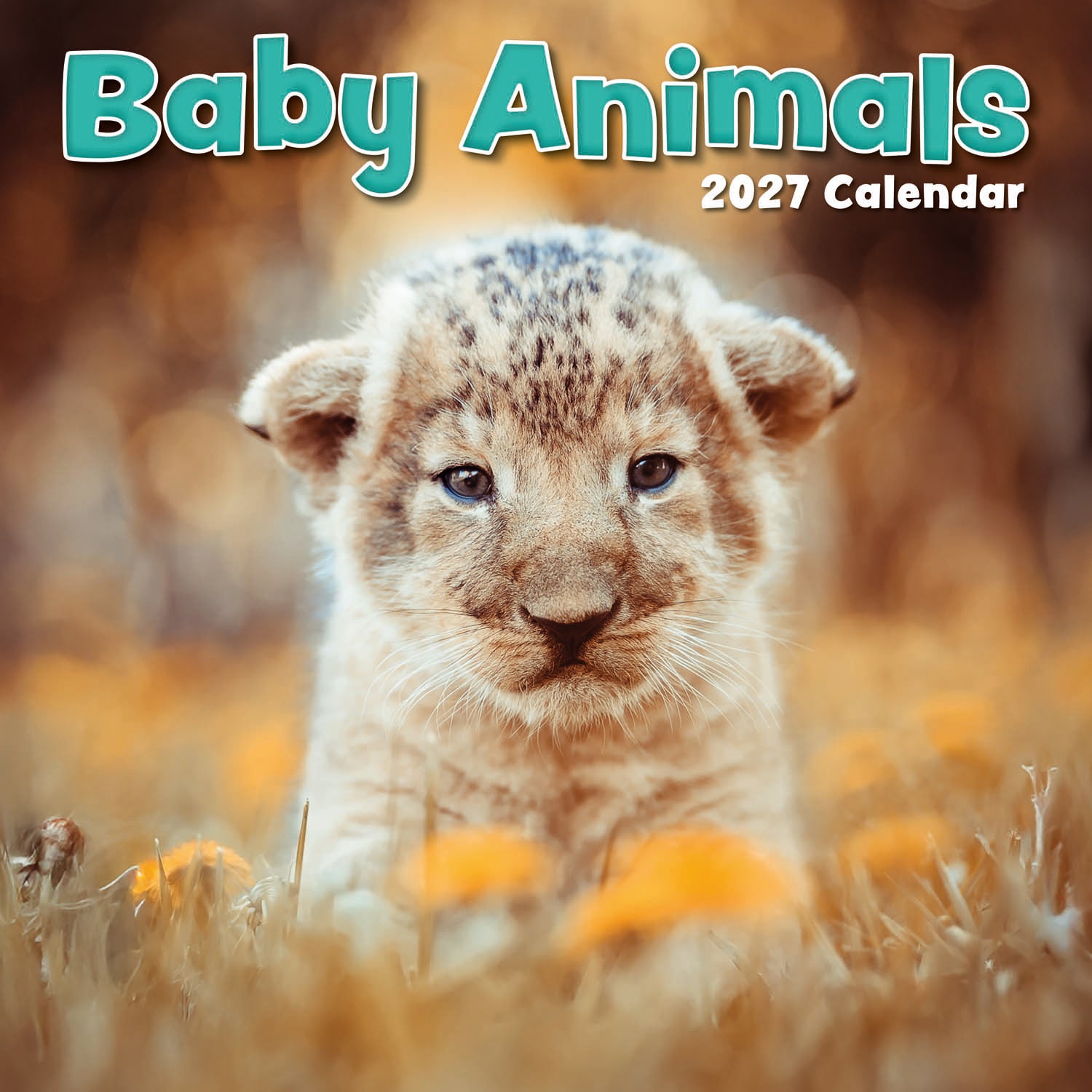 Animals_Baby_Animals_2027_Cover.jpg
