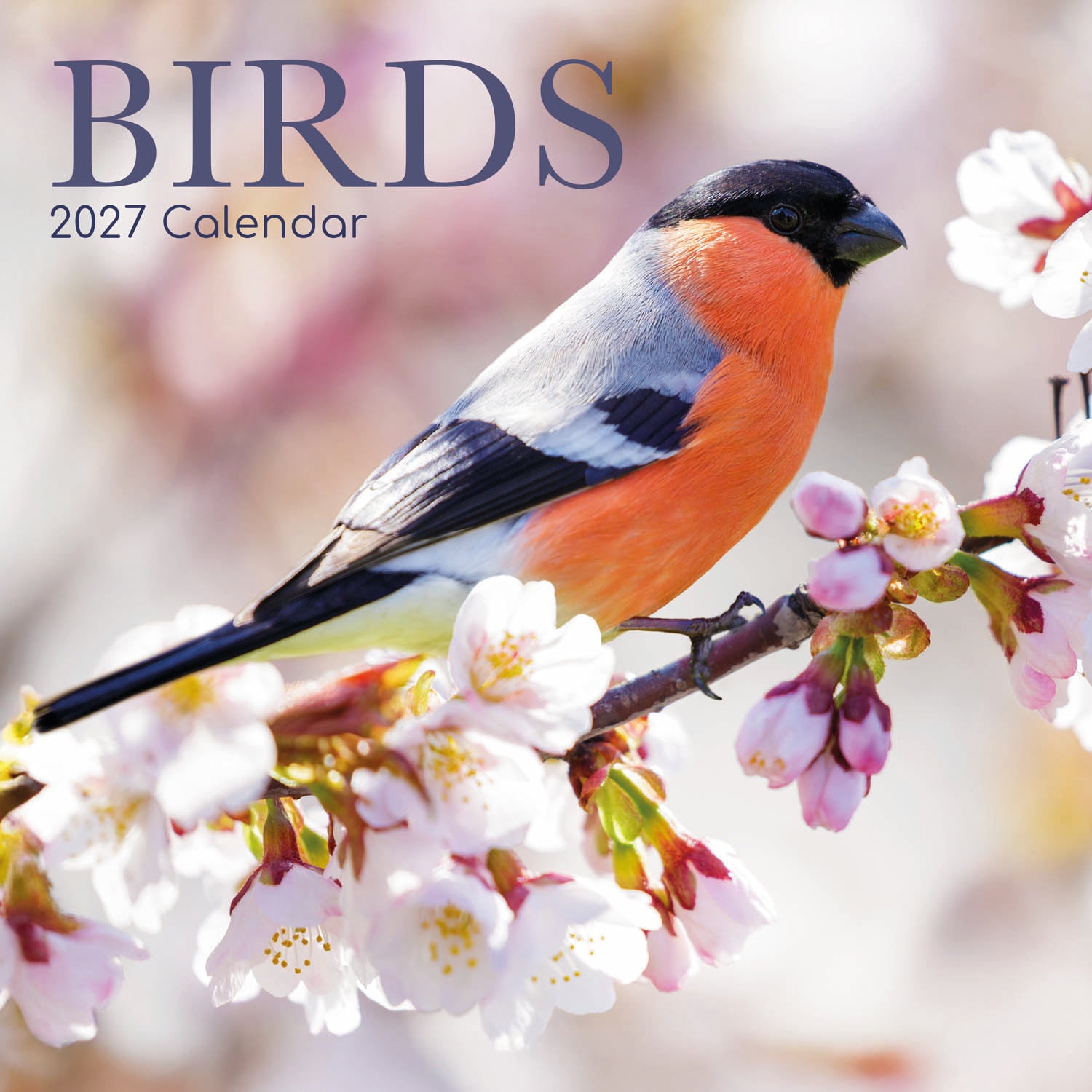 Animals_Birds_2027_Cover.jpg