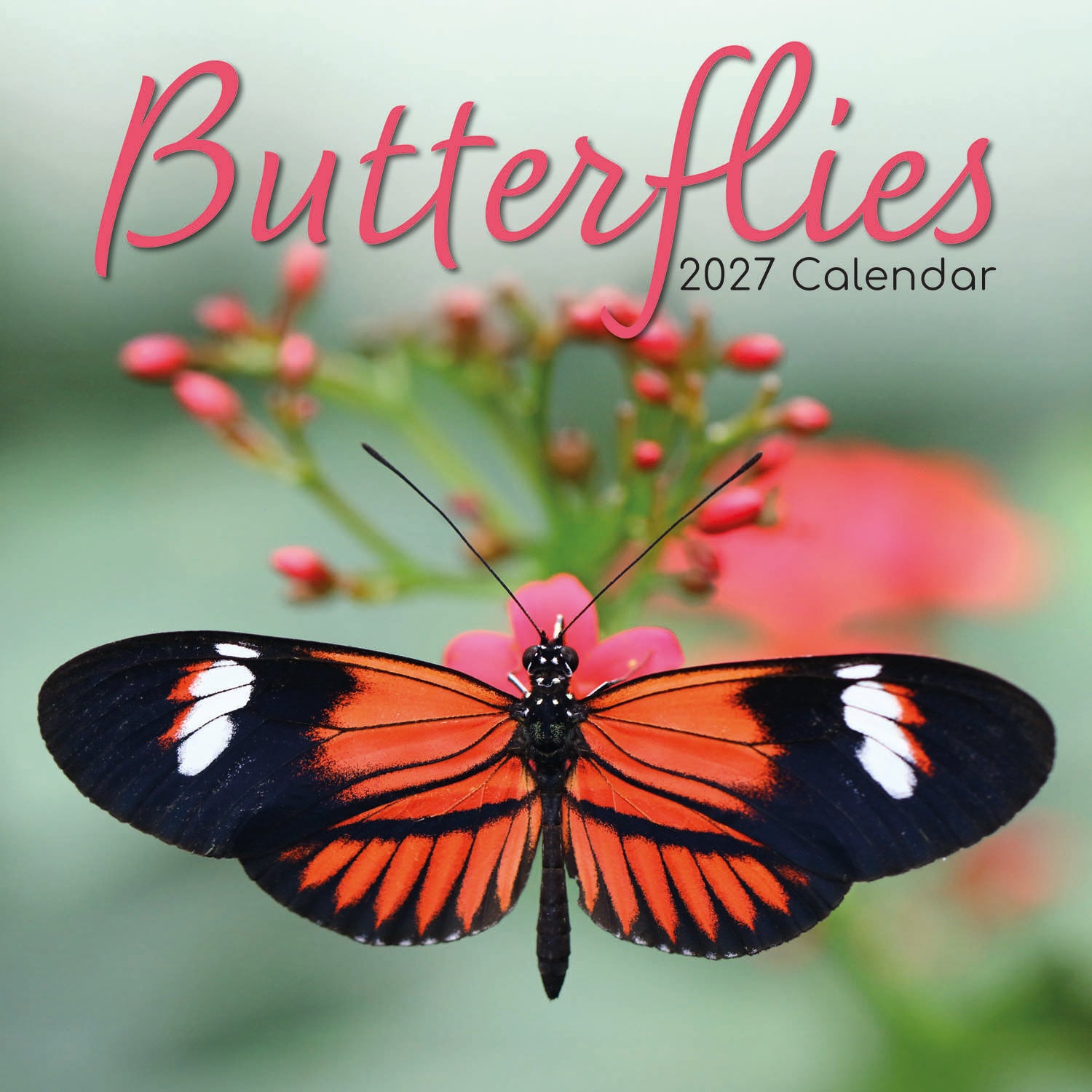 Animals_Butterflies_2027_Cover.jpg