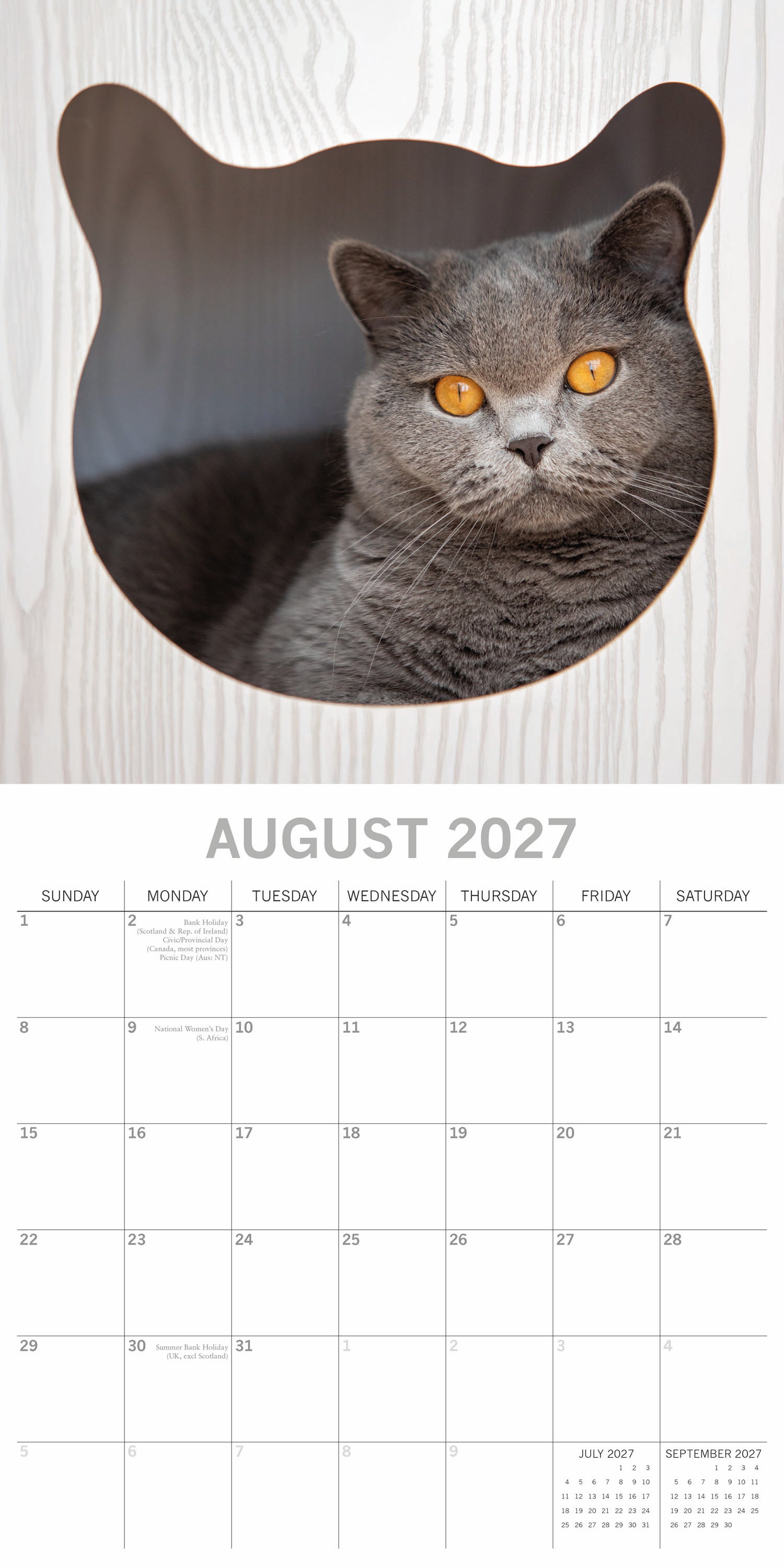 Animals_Cats_2027_Aug.jpg
