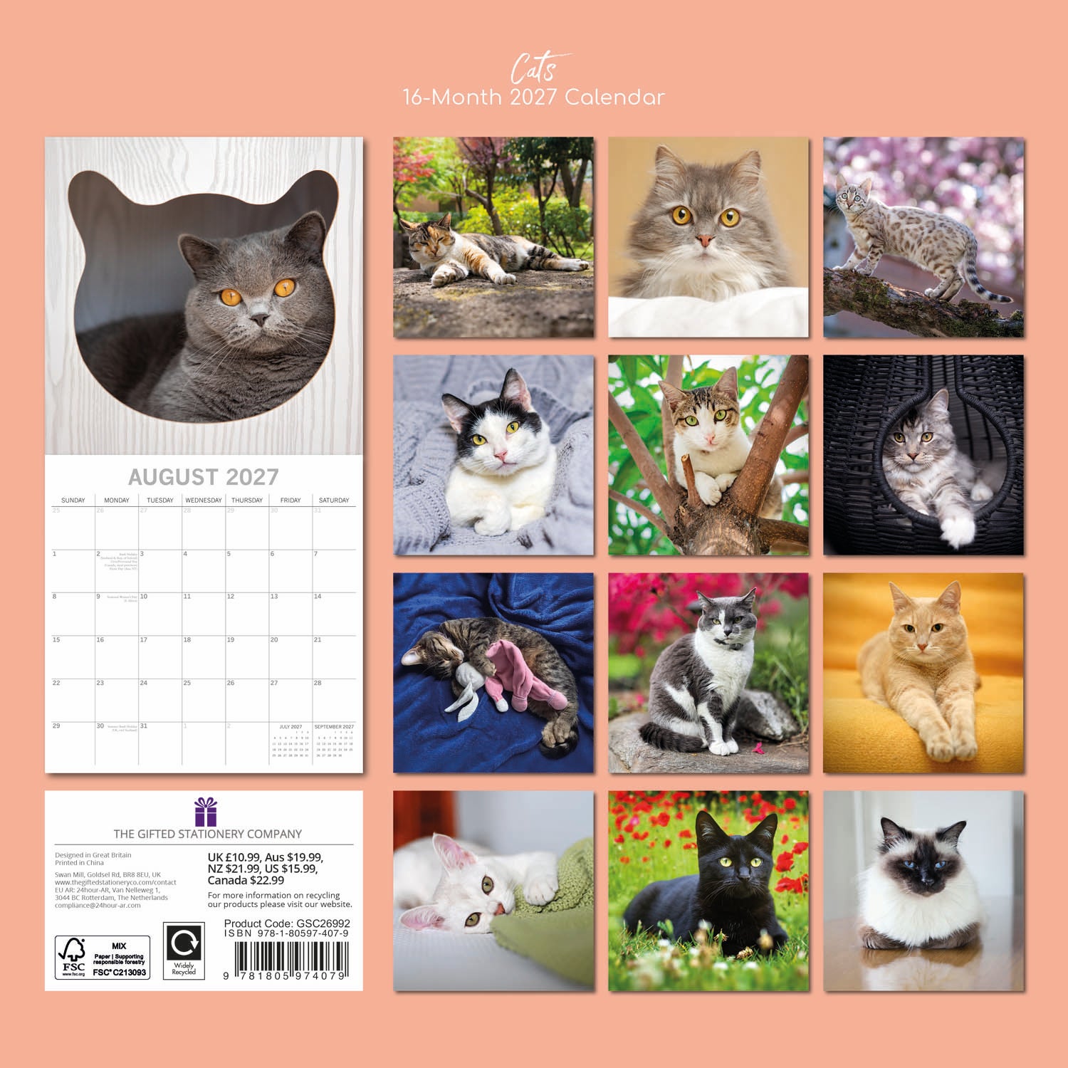 Animals_Cats_2027_Back.jpg