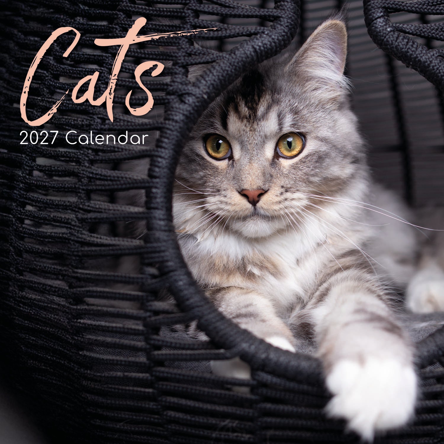 Animals_Cats_2027_Cover.jpg