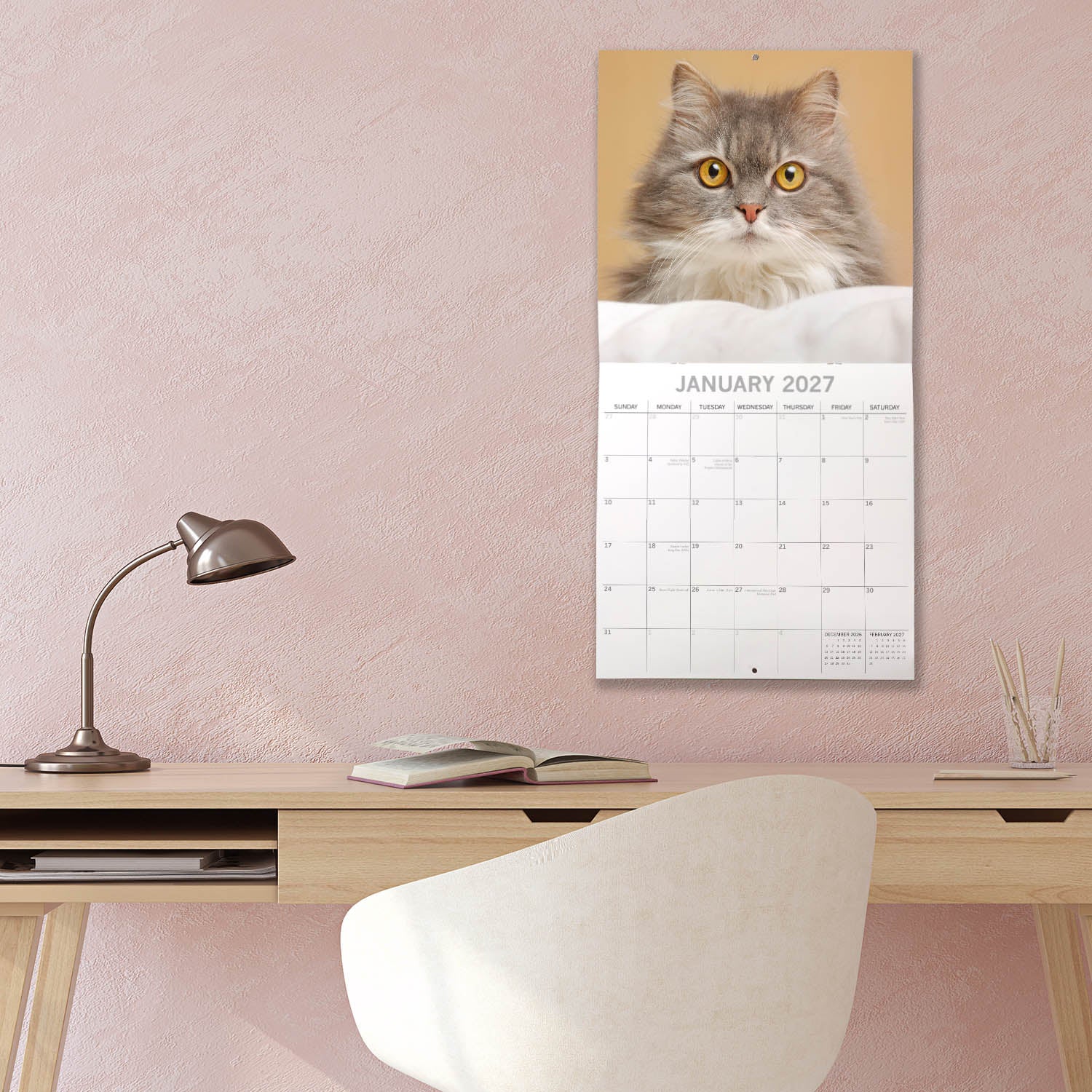 Animals_Cats_2027_Jan_LS.jpg