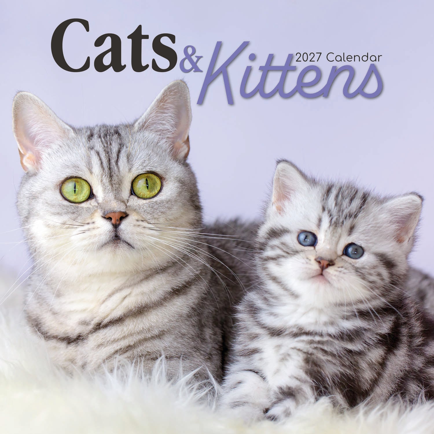 Animals_Cats___Kittens_2027_Cover.jpg