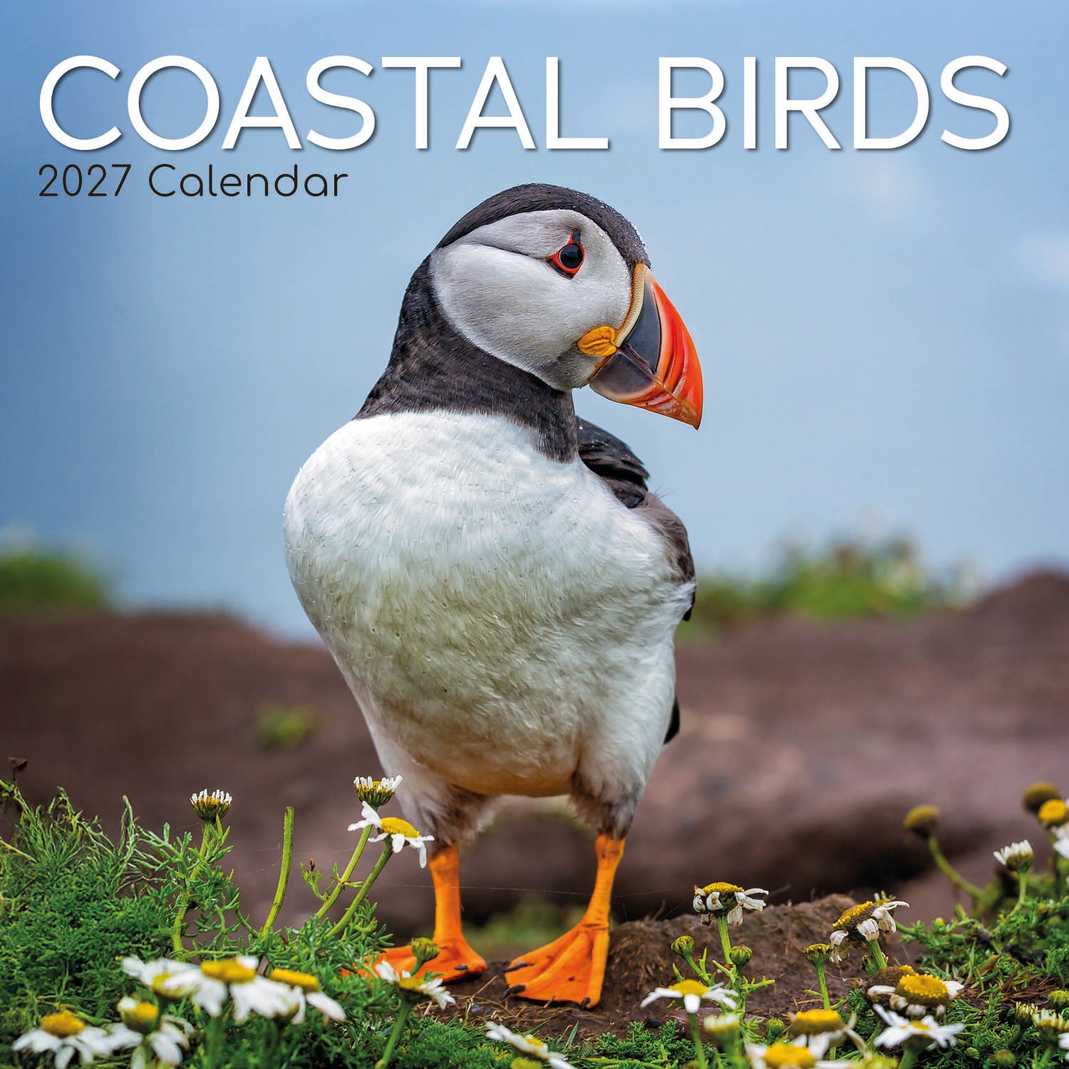 Animals_Coastal_Birds_2027_Cover.jpg