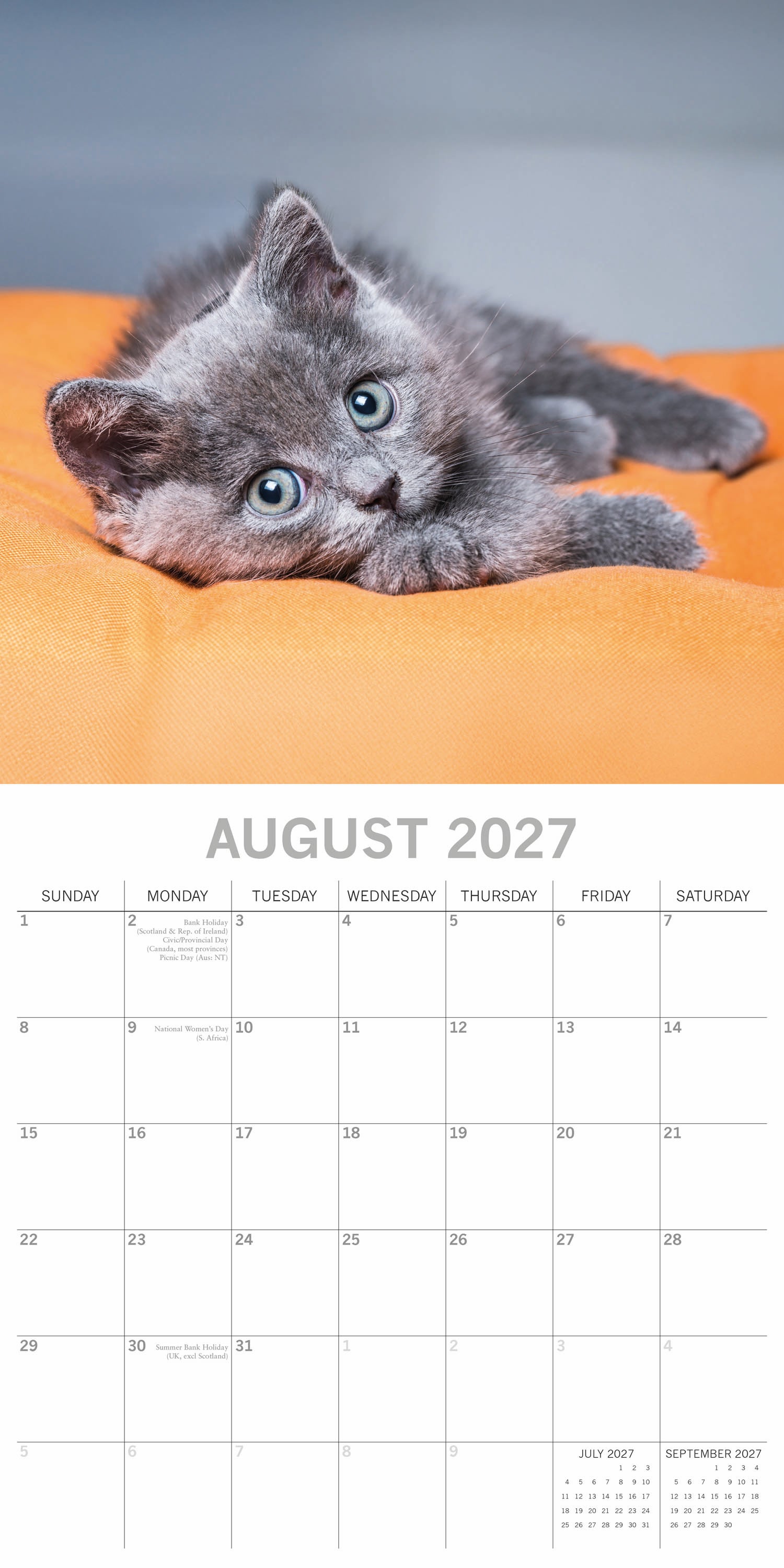 Animals_Cute_Kittens_2027_Aug.jpg