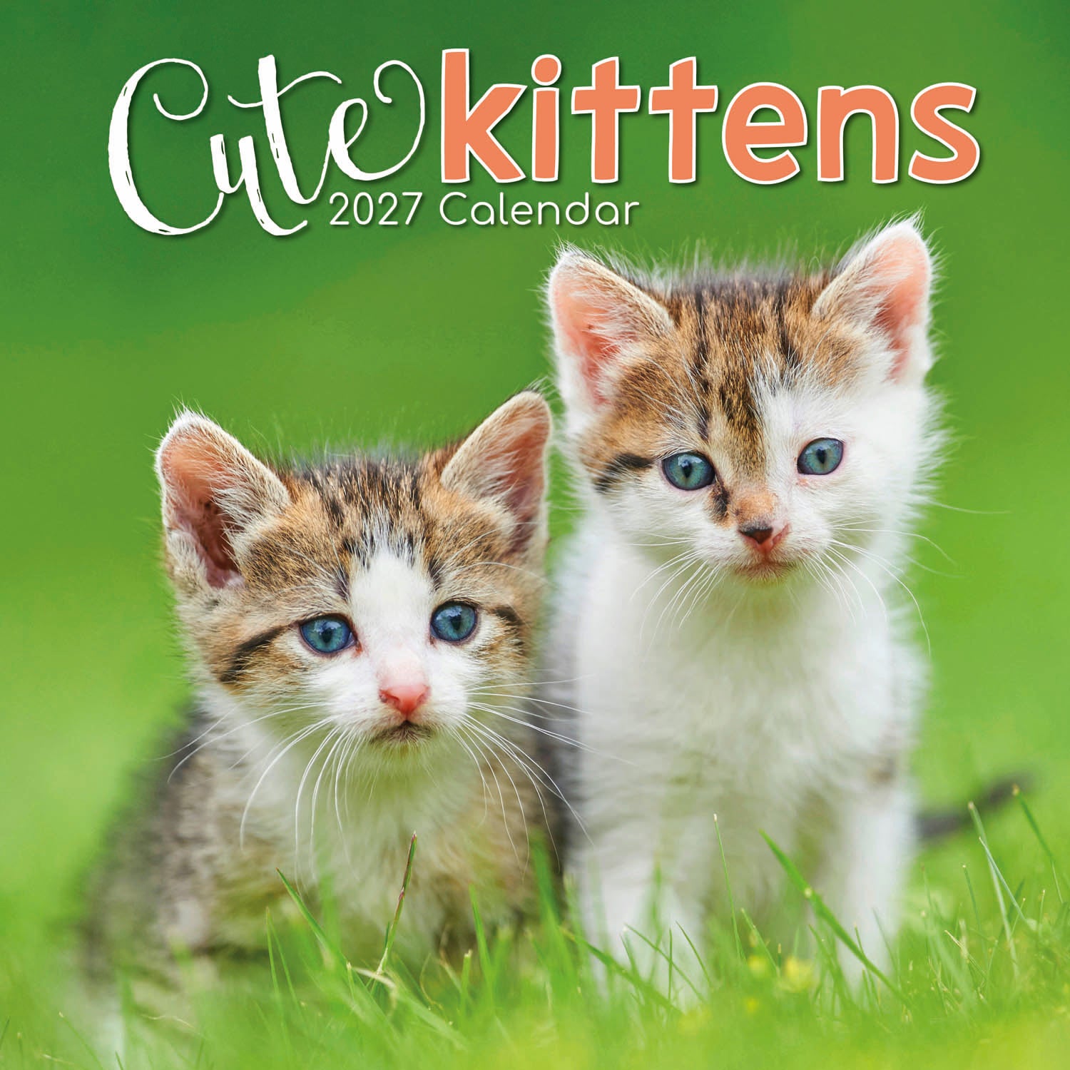 Animals_Cute_Kittens_2027_Cover.jpg