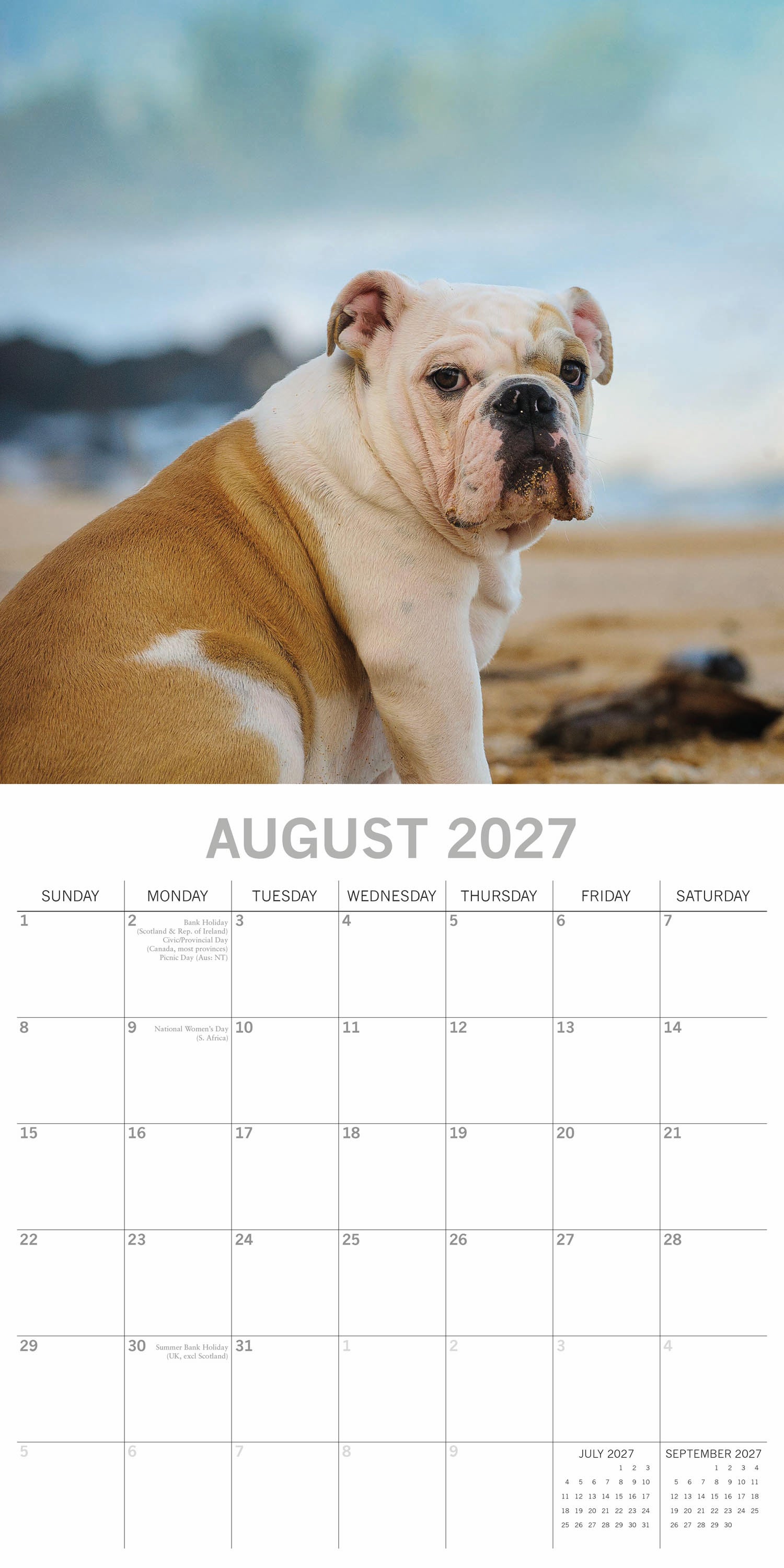 Animals_Dogs_Bulldogs_2027_Aug.jpg